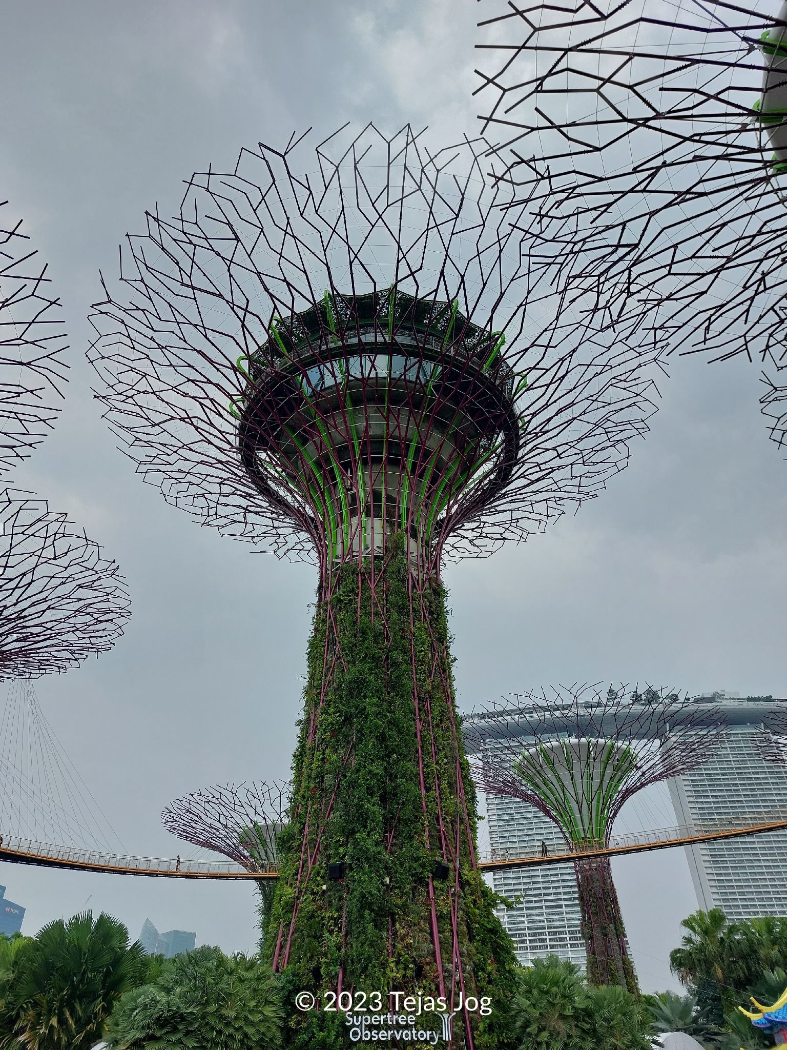 Gardens by the Bay