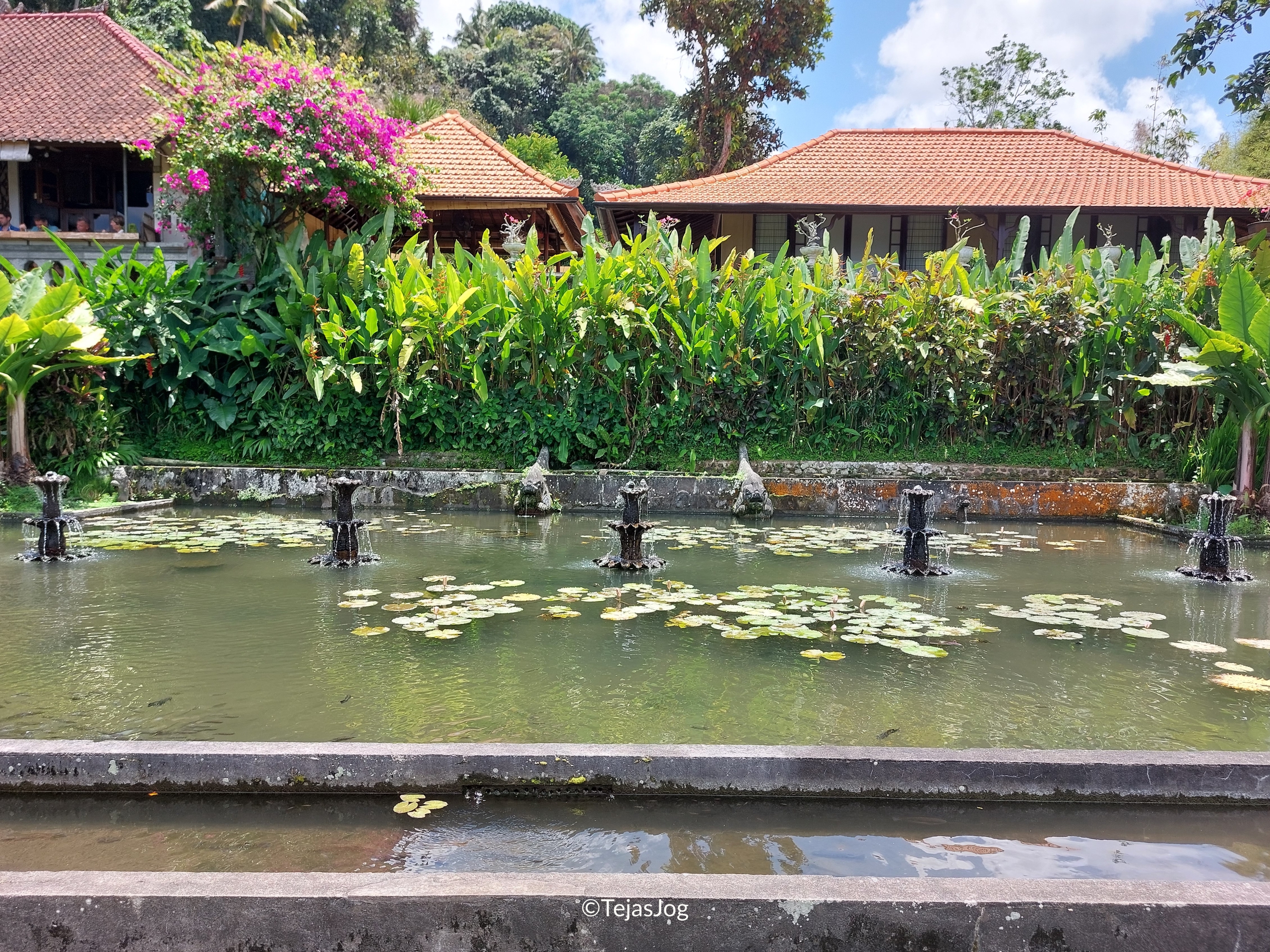 Tirta Gangga