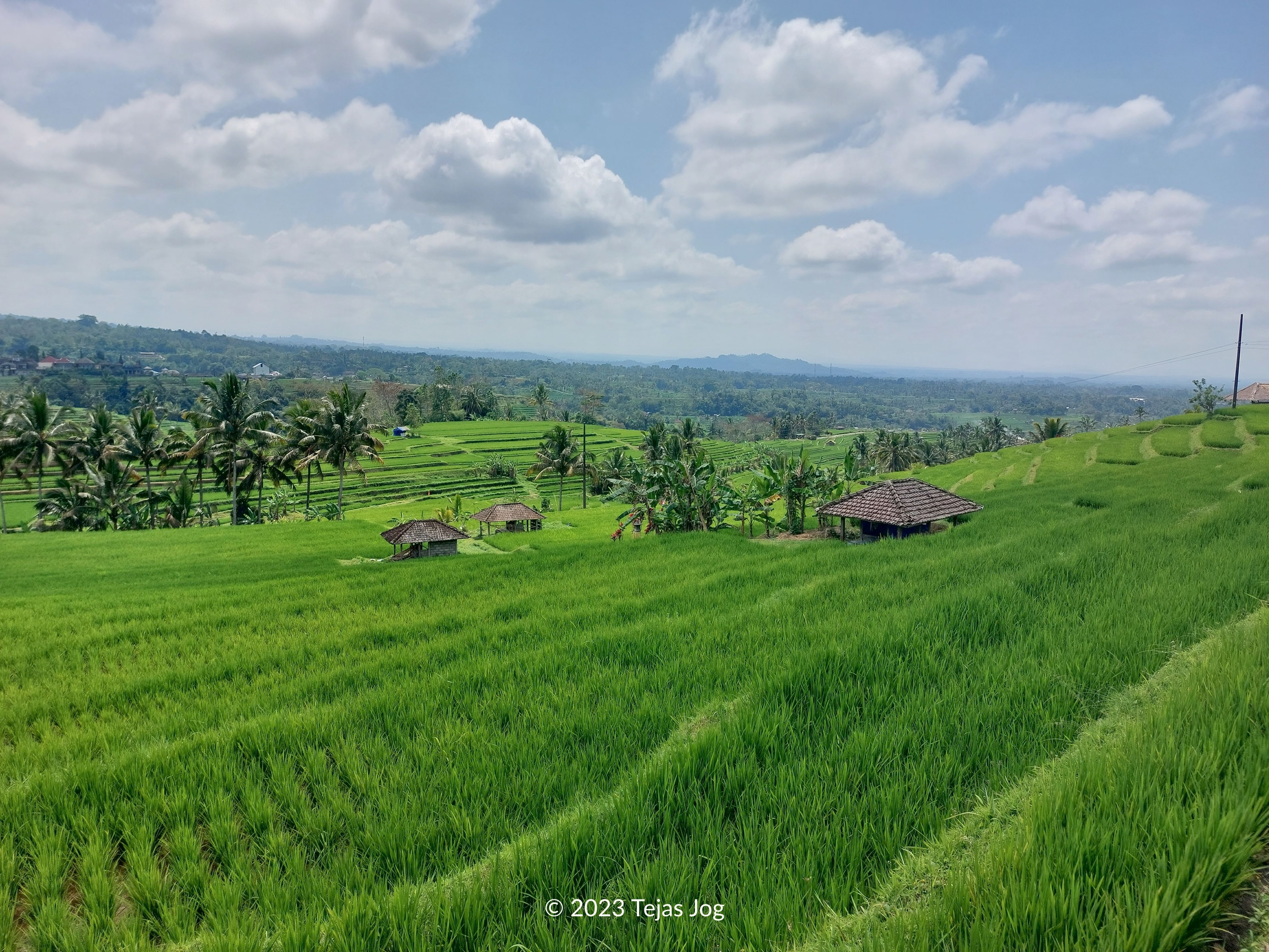 Jatiluwih Rice Terraces