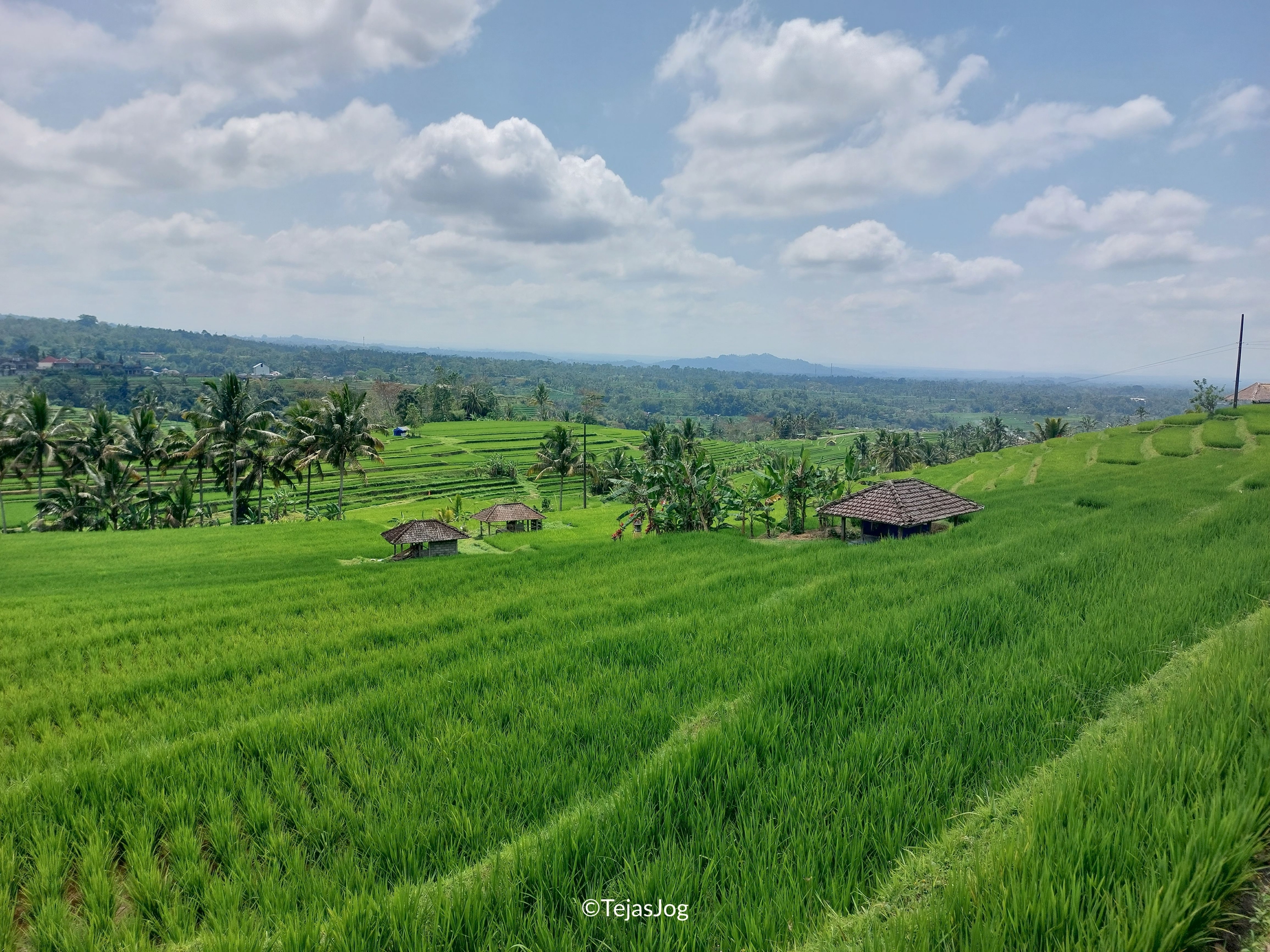 Jatiluwih Rice Terraces
