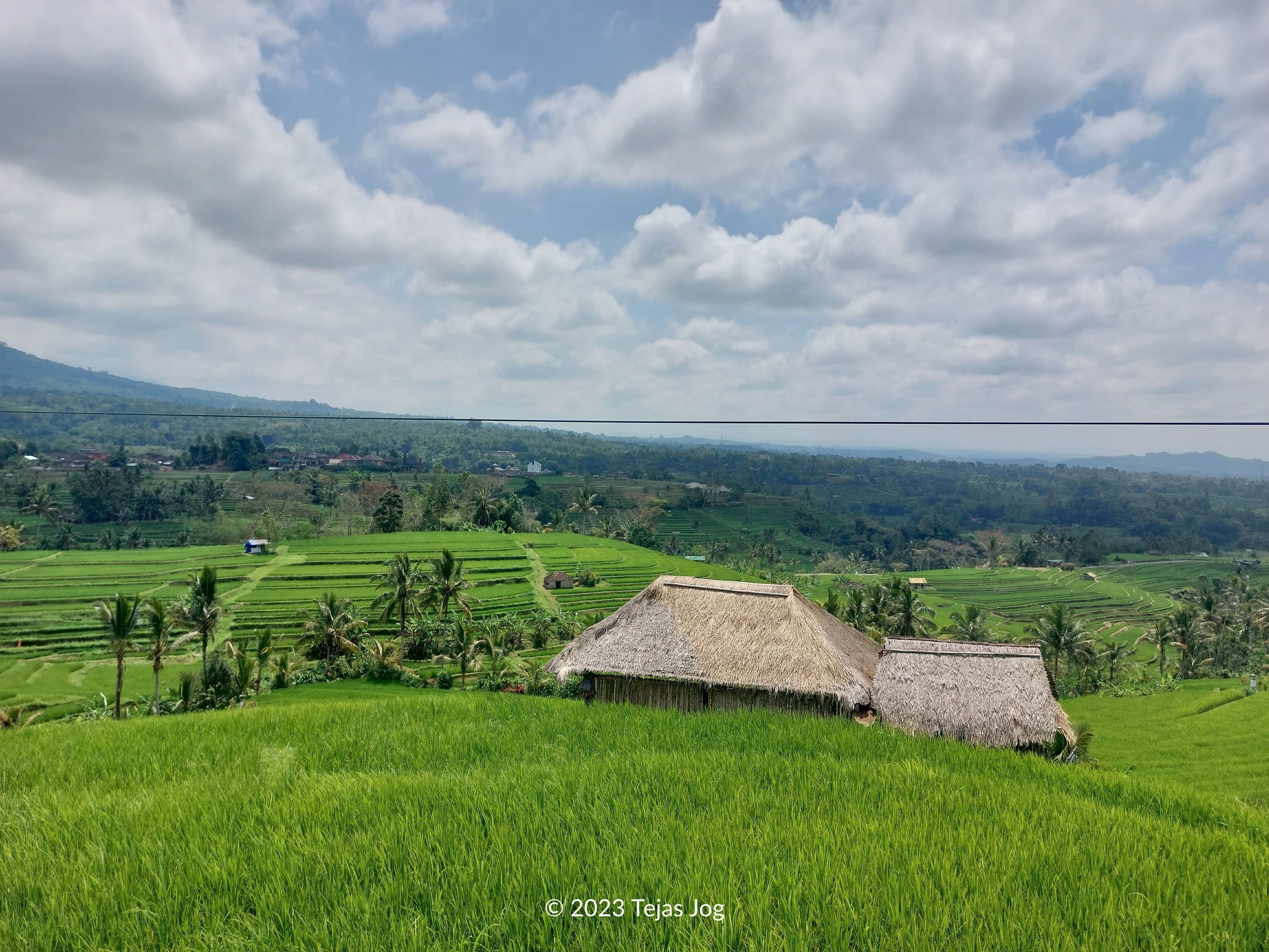 Jatiluwih Rice Terraces