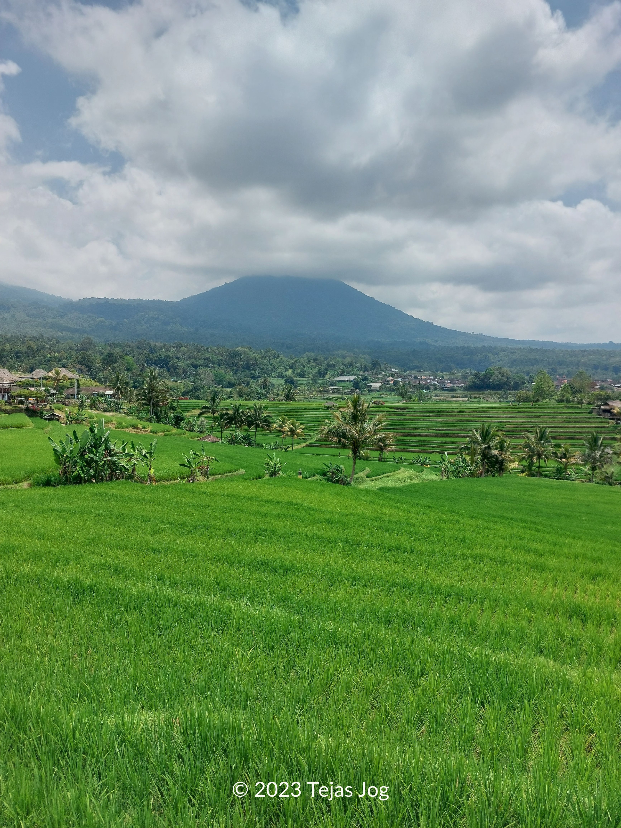 Jatiluwih Rice Terraces