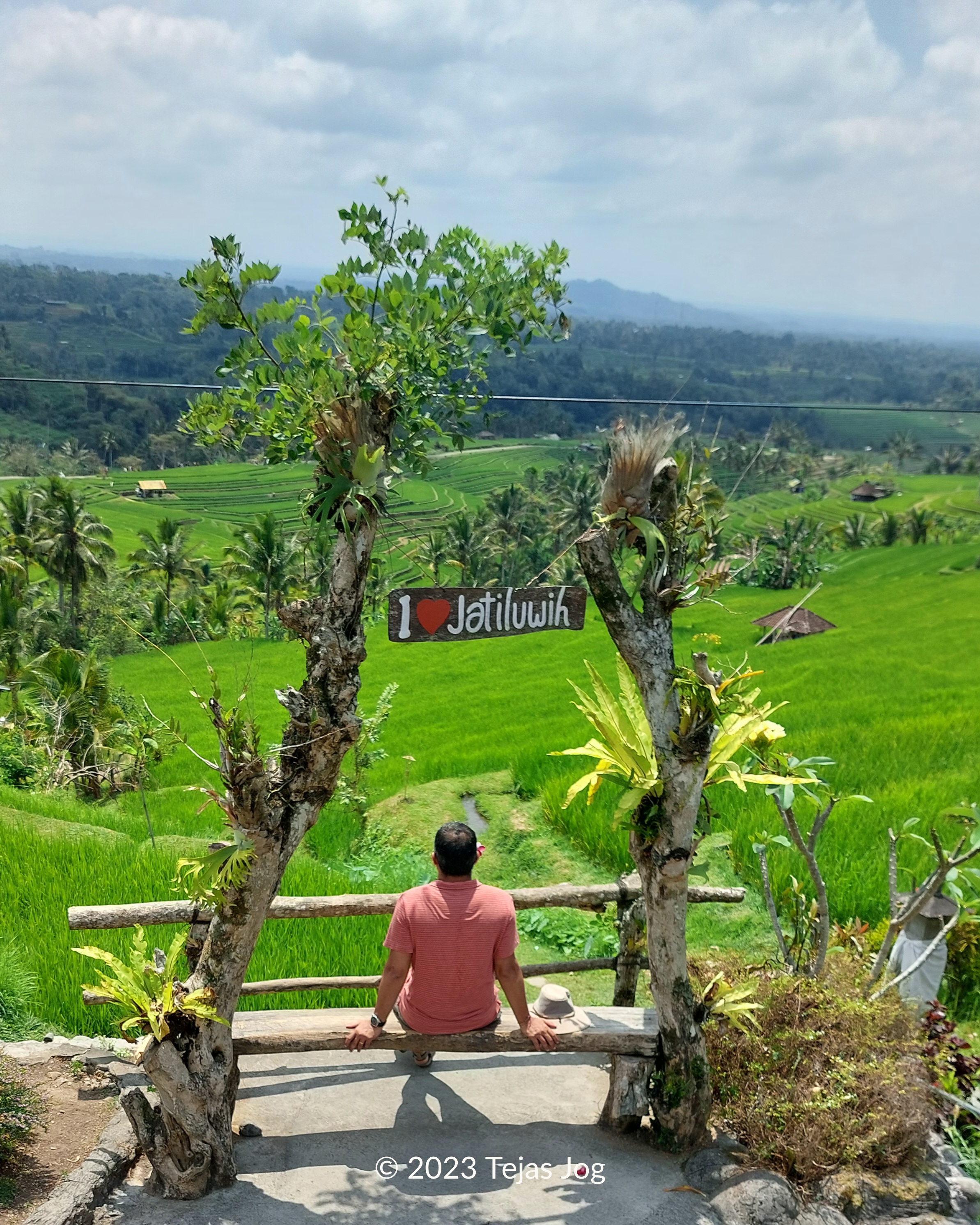 Jatiluwih Rice Terraces