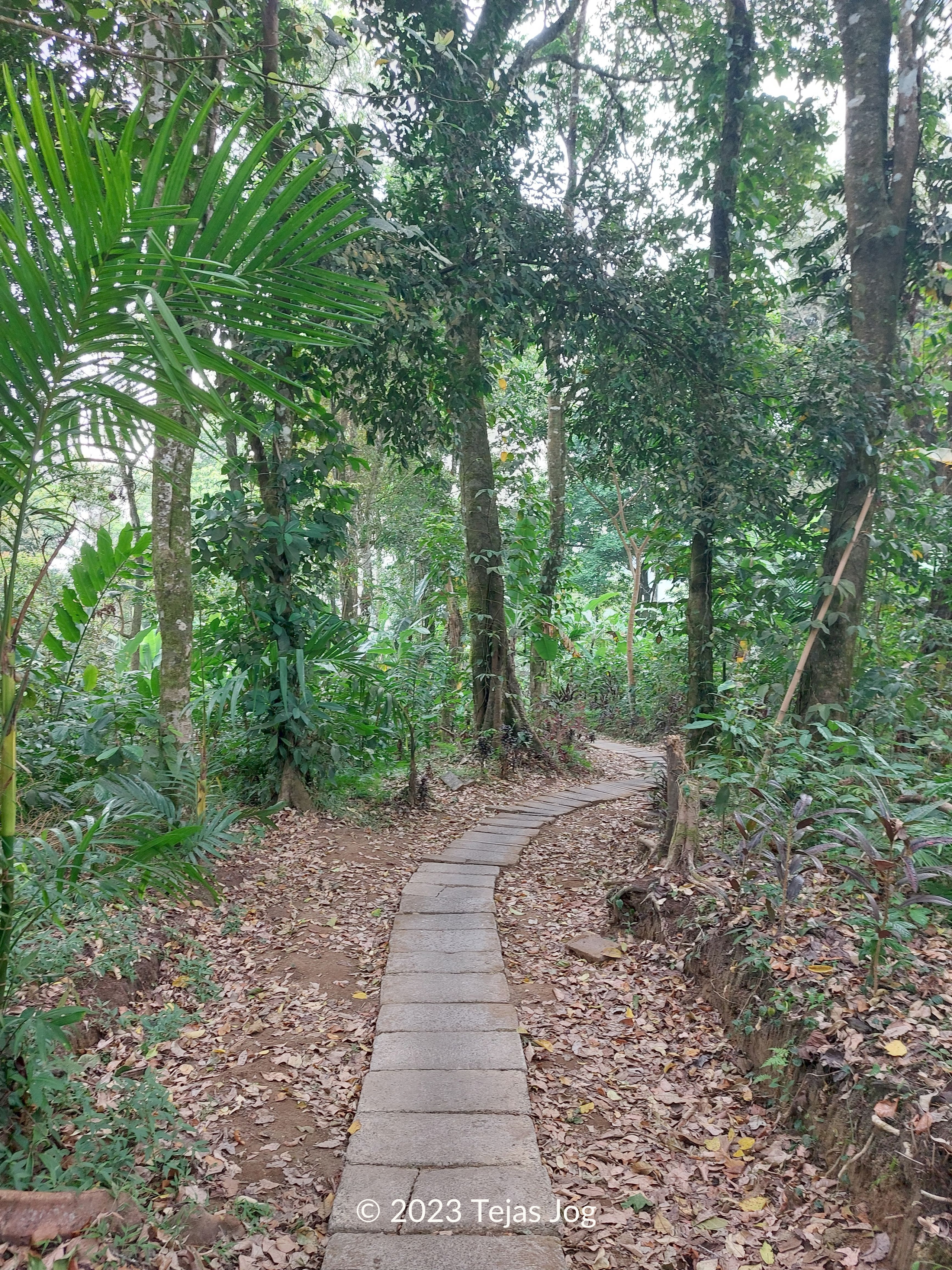 Banyumala Waterfall