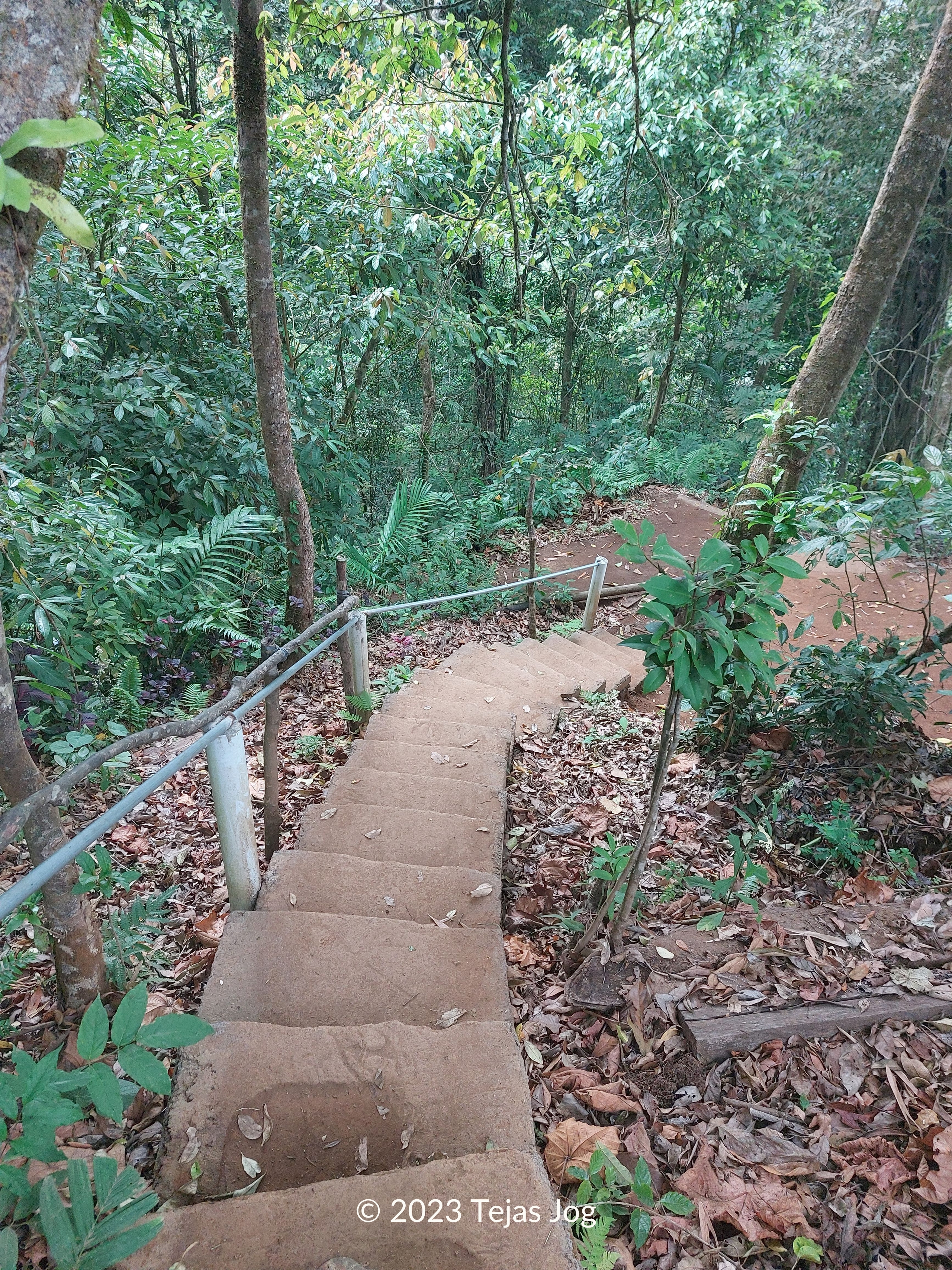 Banyumala Waterfall