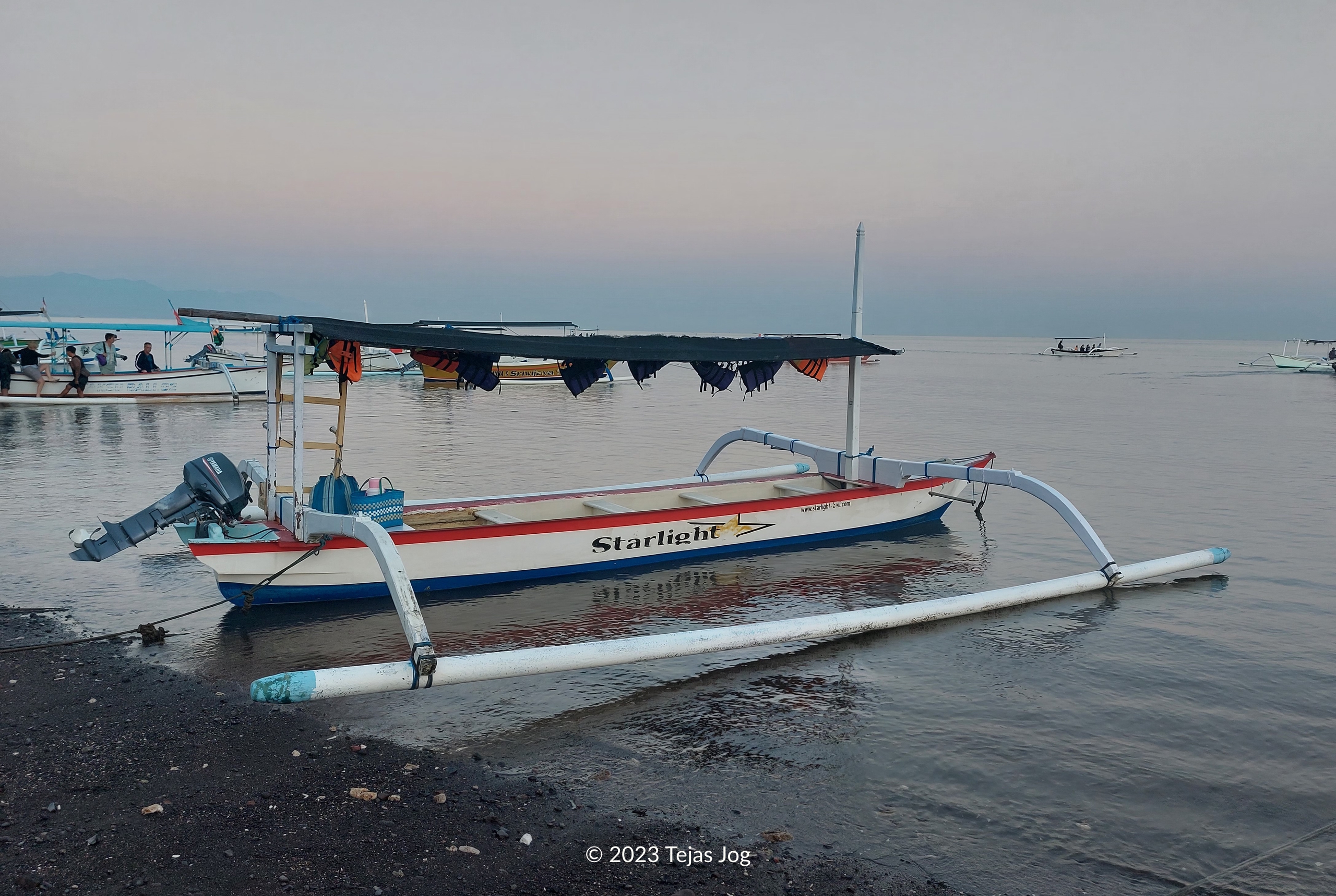 Boat for swimming with dolphins