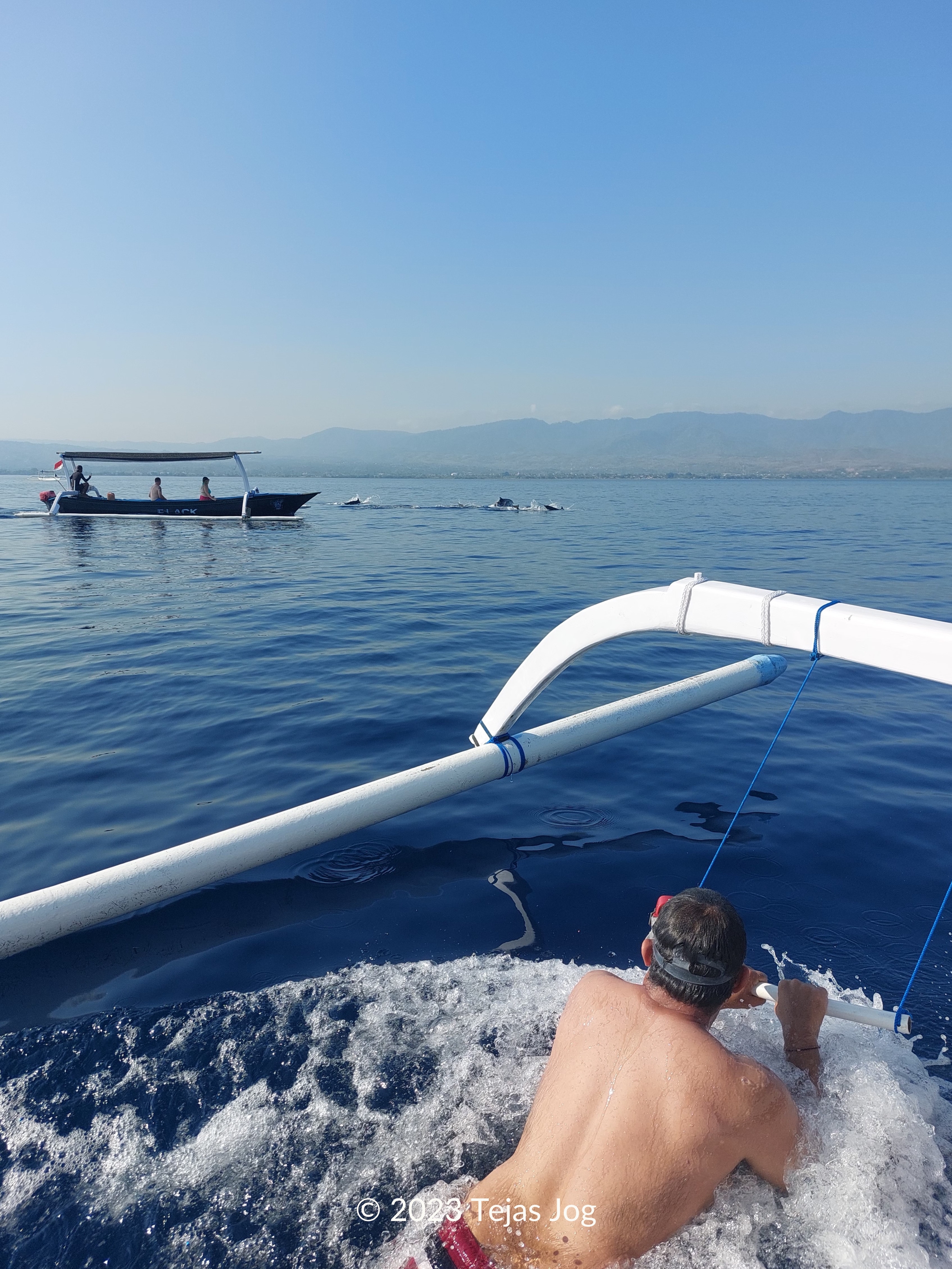 'Swimming' with dolphins
