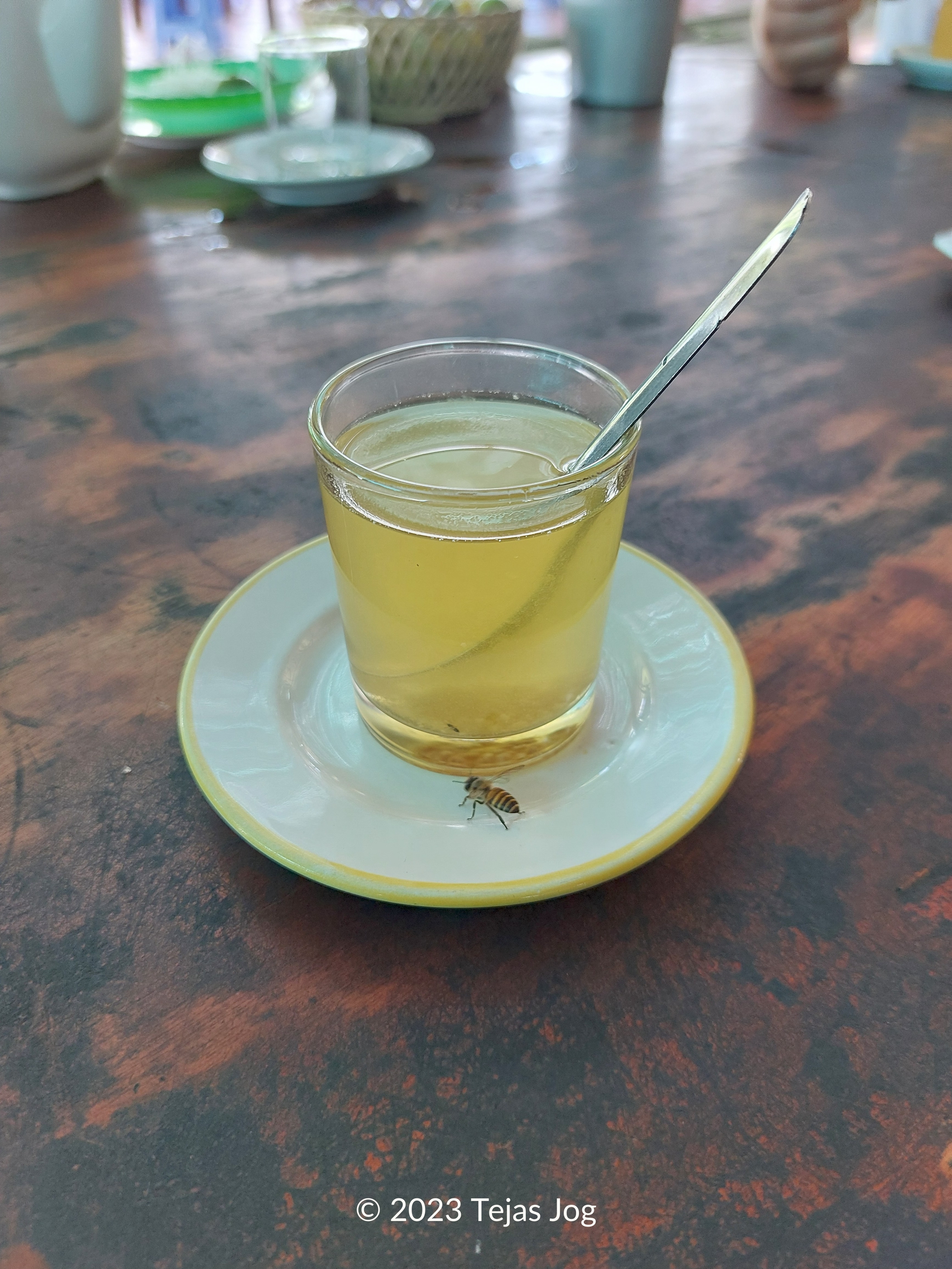 Mekong Delta Bee Honey Farm Mekong Delta Bee Honey Farm