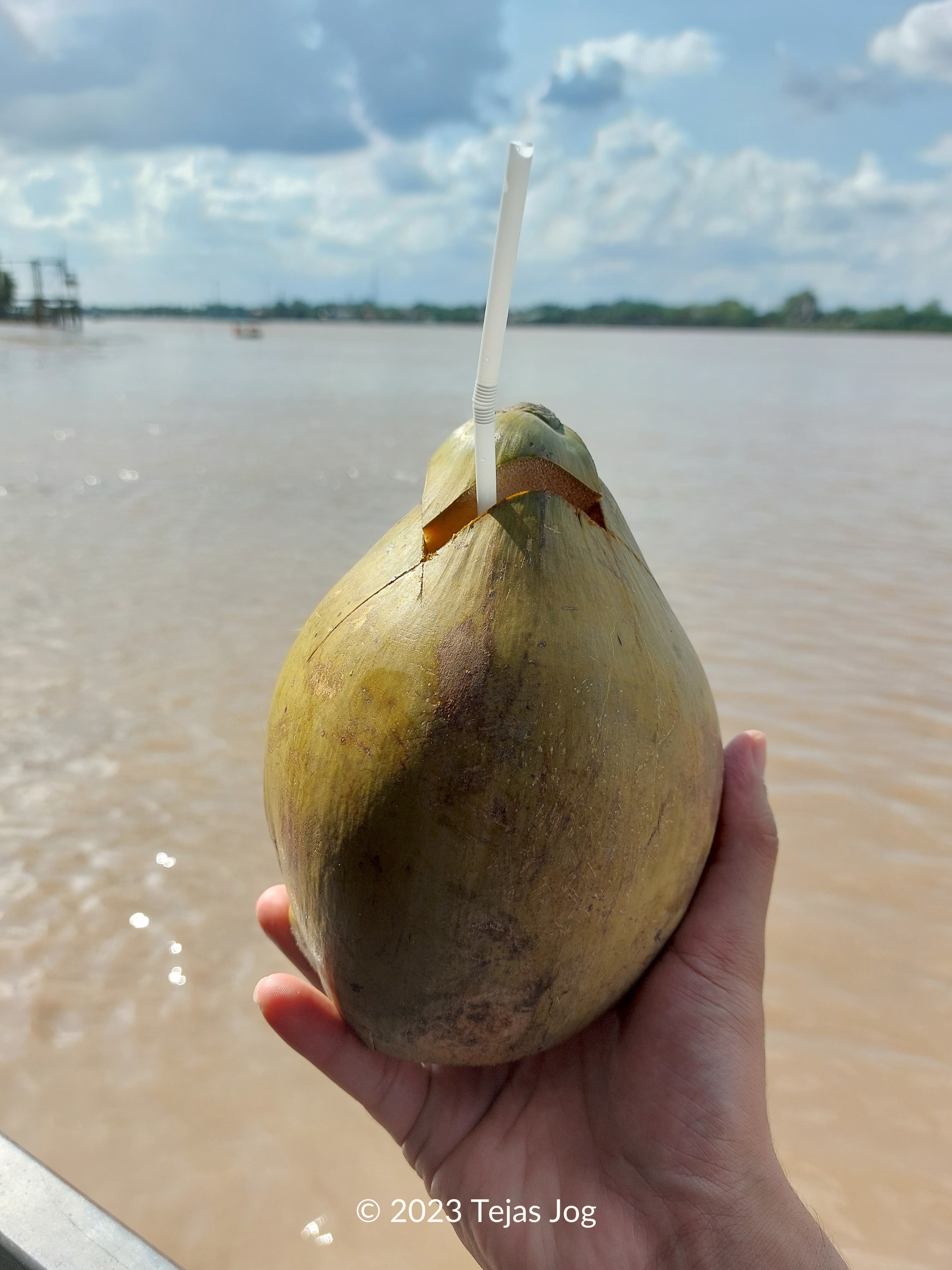 Coconut Water Coconut Water