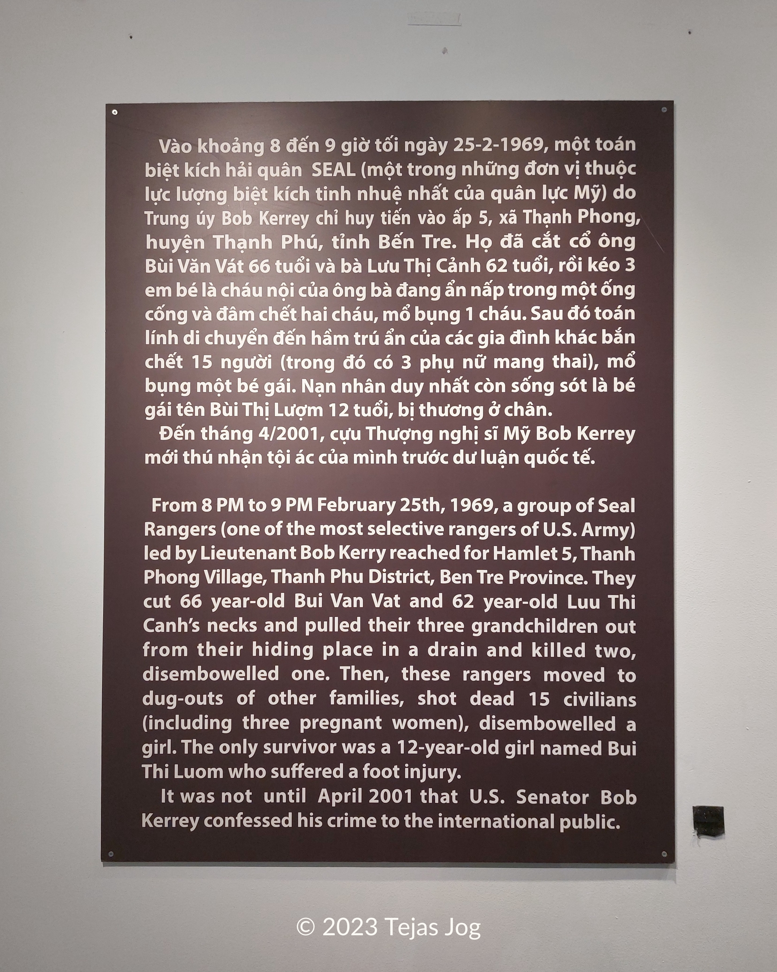 Account of the Thạnh Phong village incident involving Navy SEALs