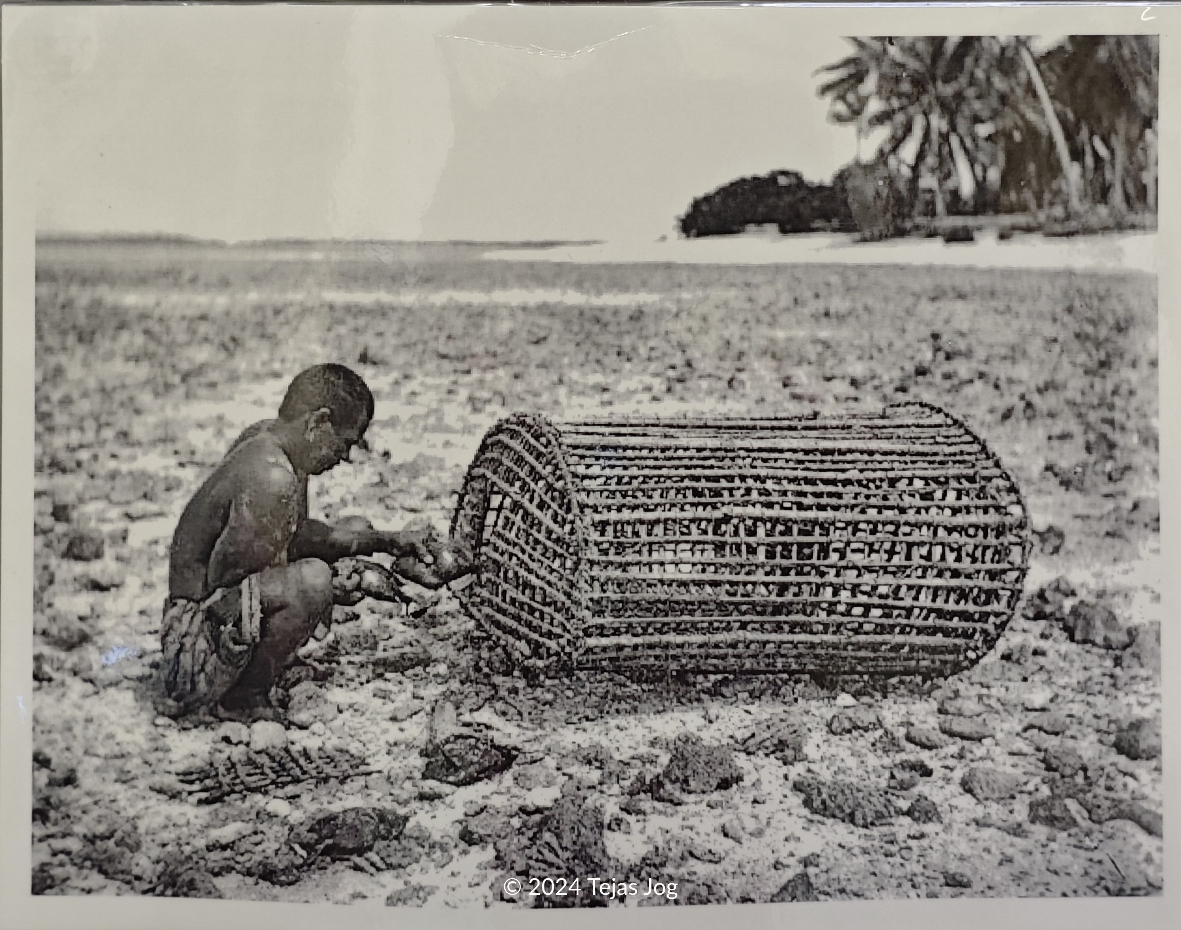 Wu / Submerged wooden fish traps
