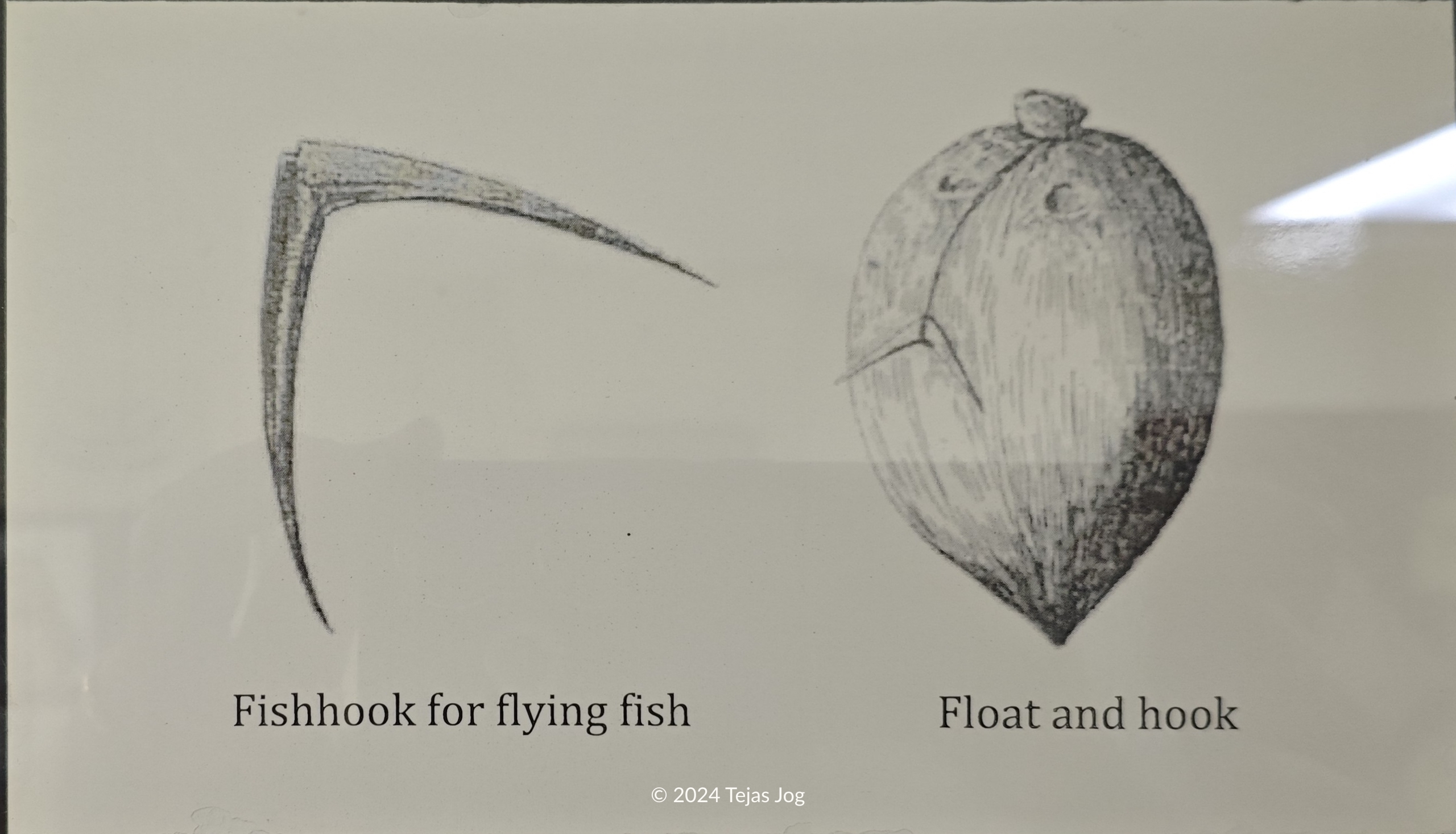 Marshallese Fishing Techniques