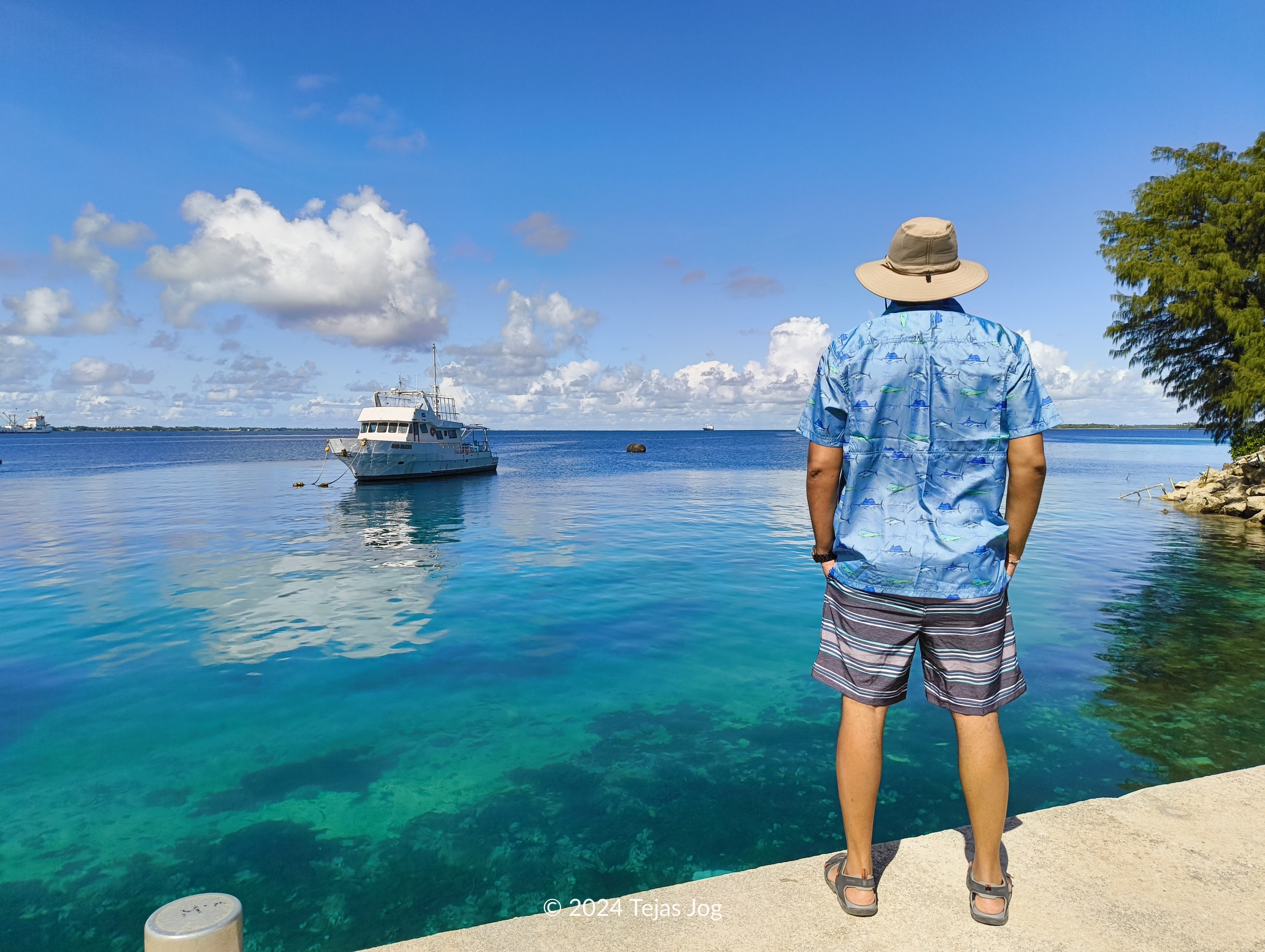 Waiting at the dock
