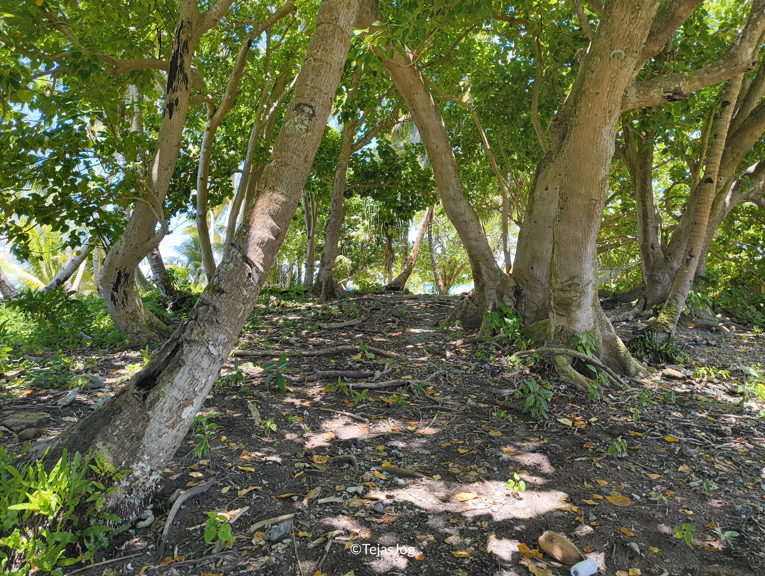 Arno Atoll