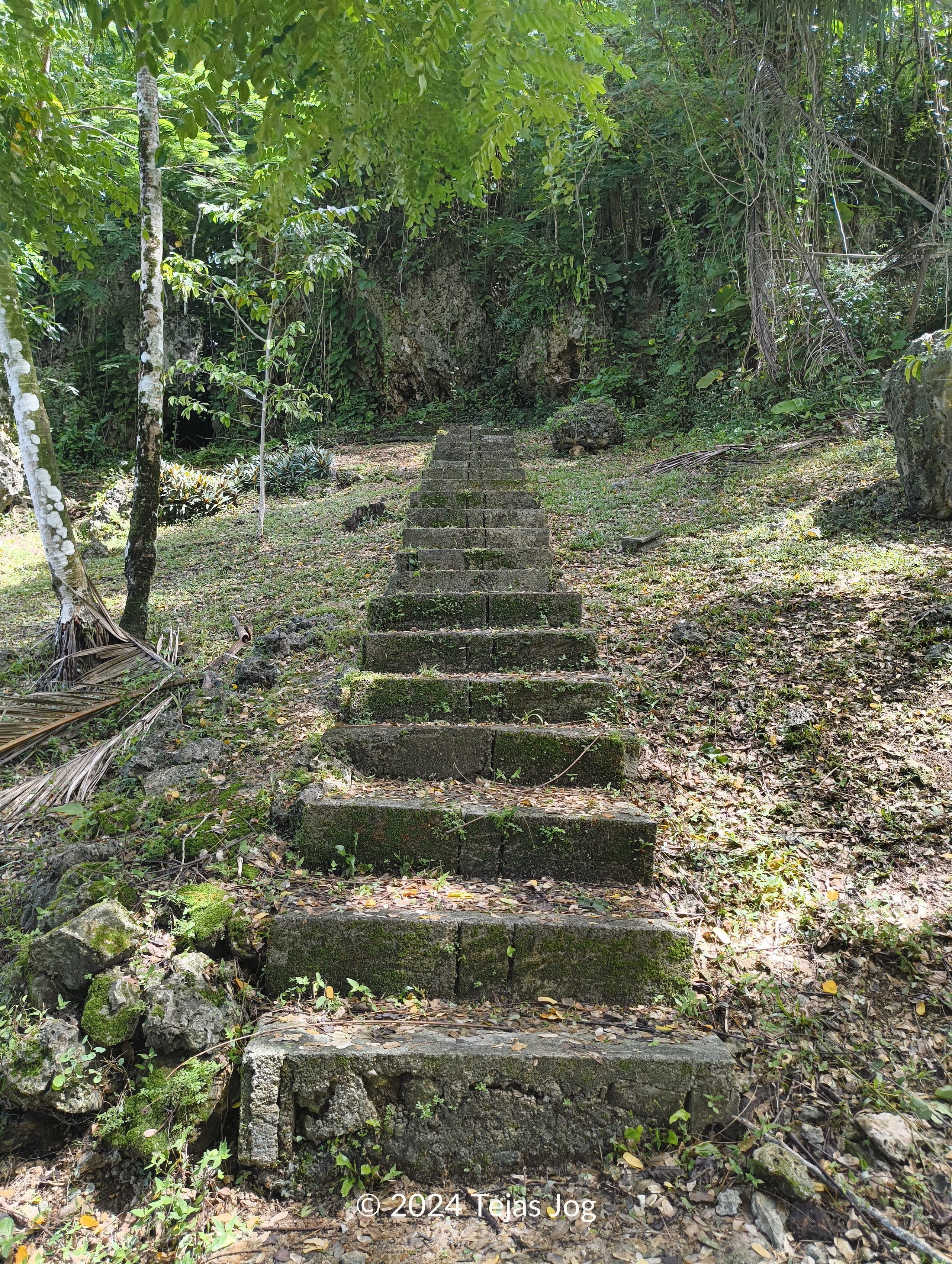 German Steps