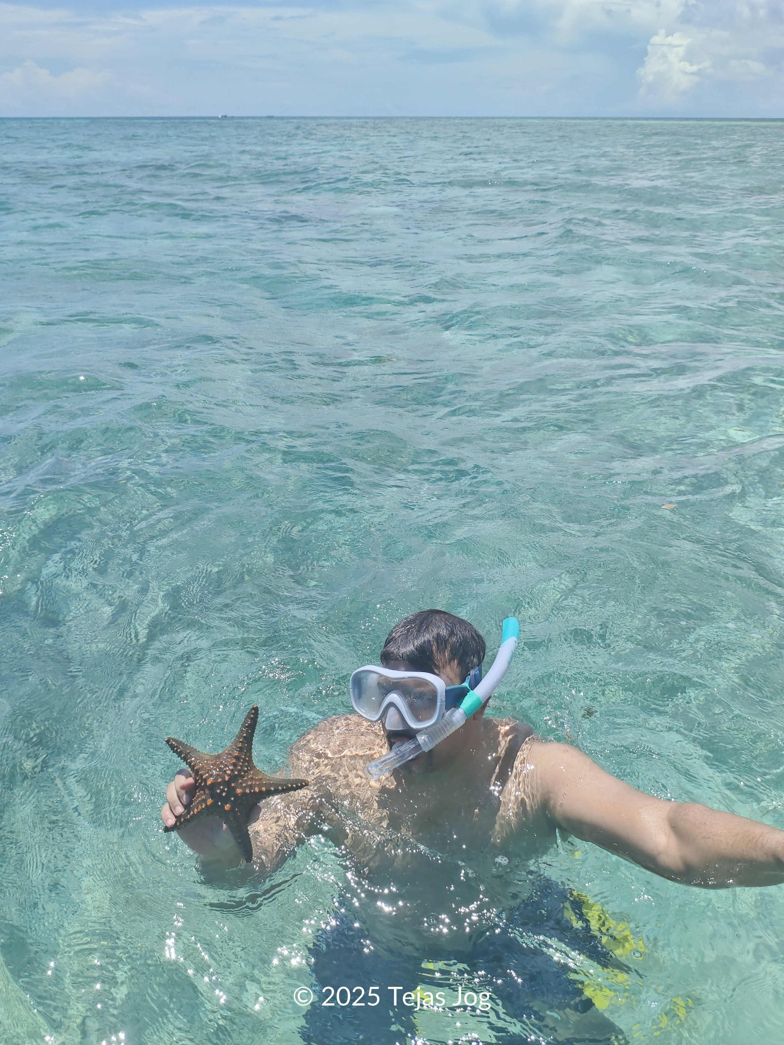 Starfish