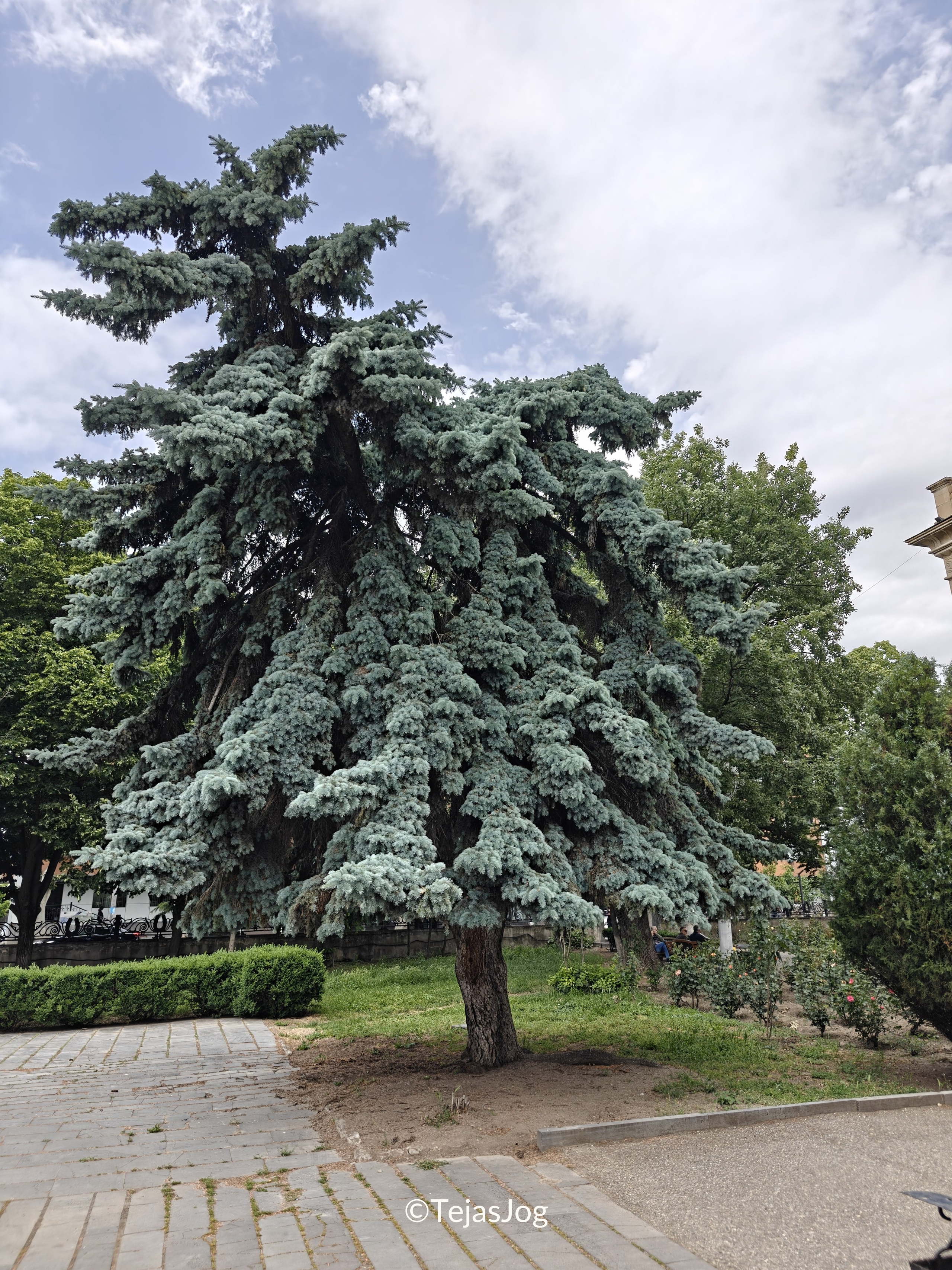 Stalin Park