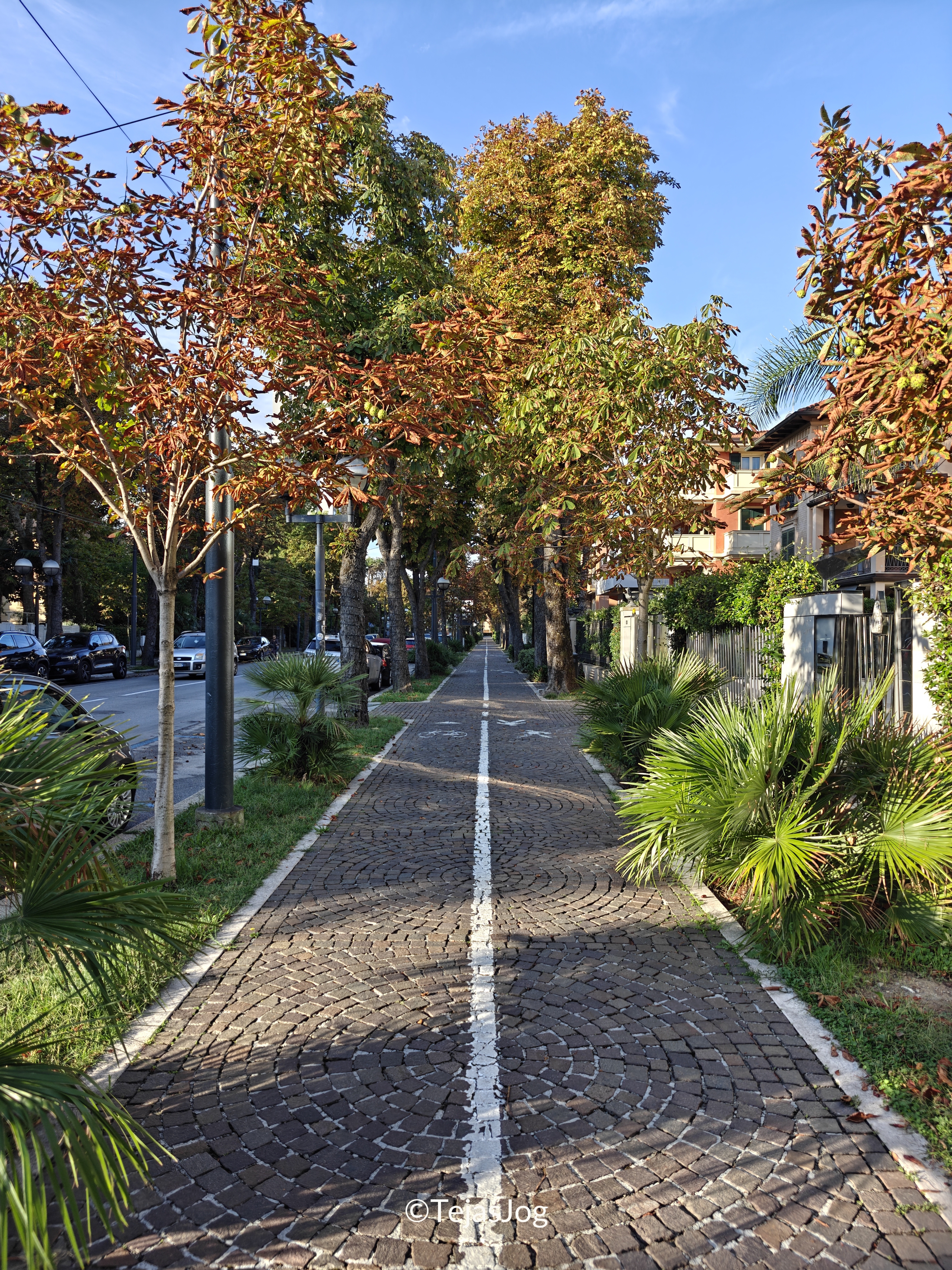 Rimini