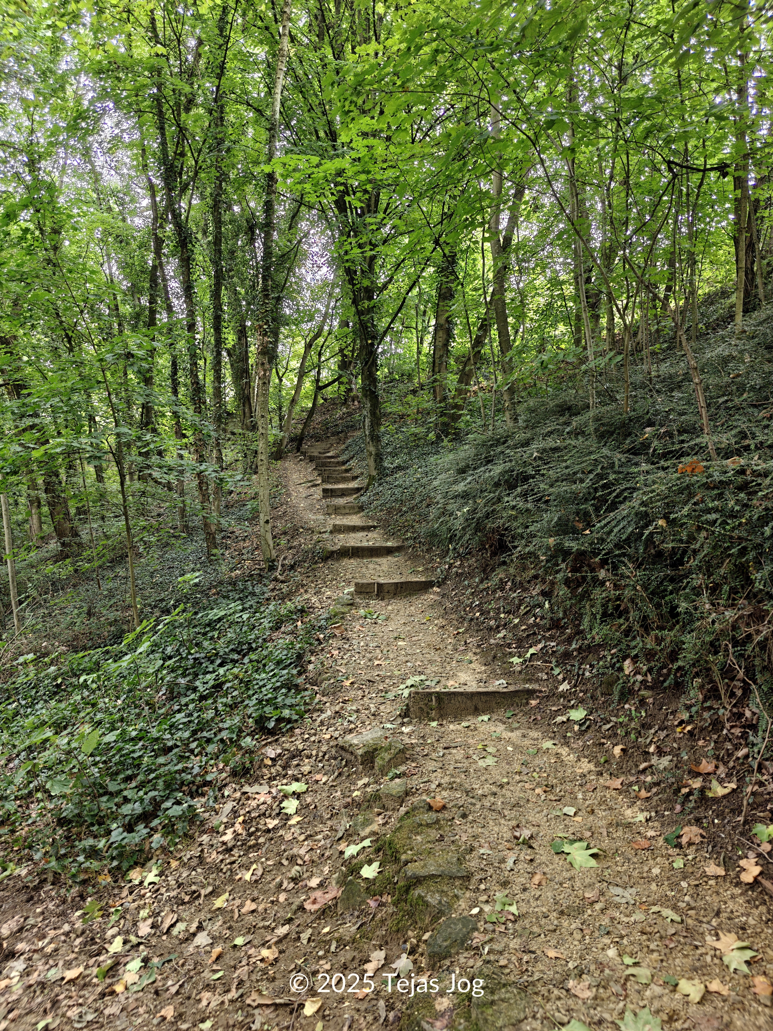 Walk along the Alzette