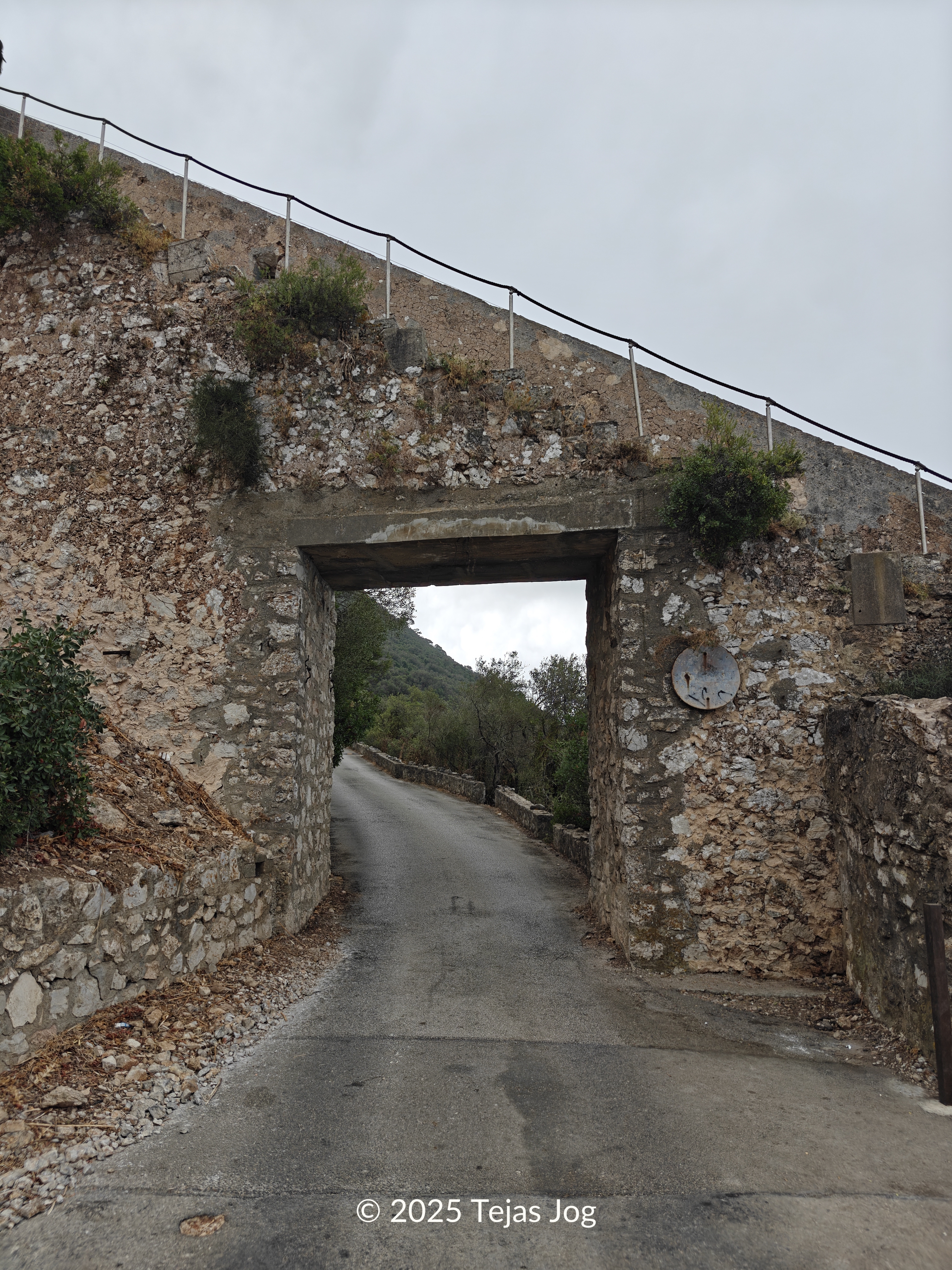 Charles V Wall