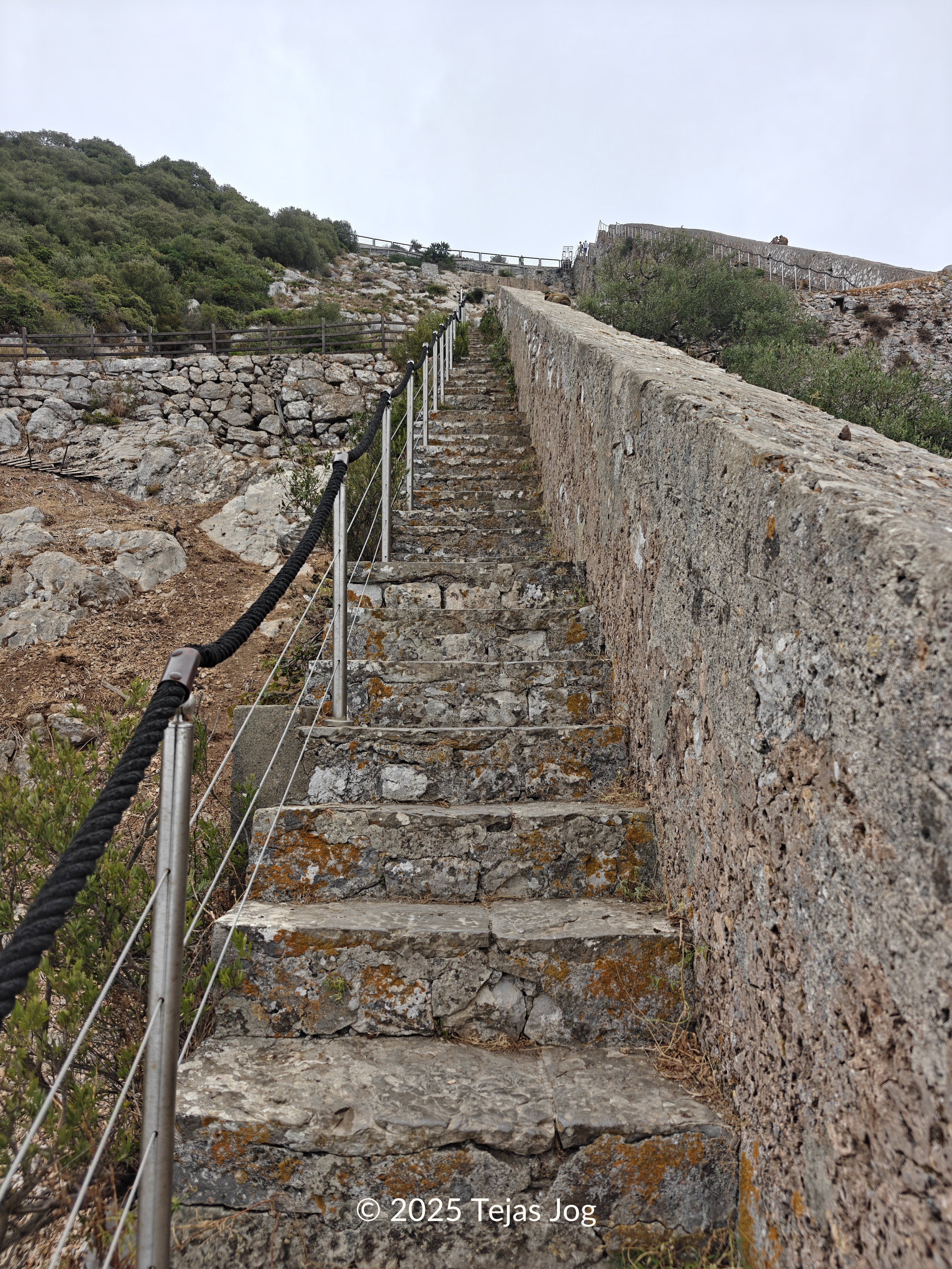 Charles V Wall