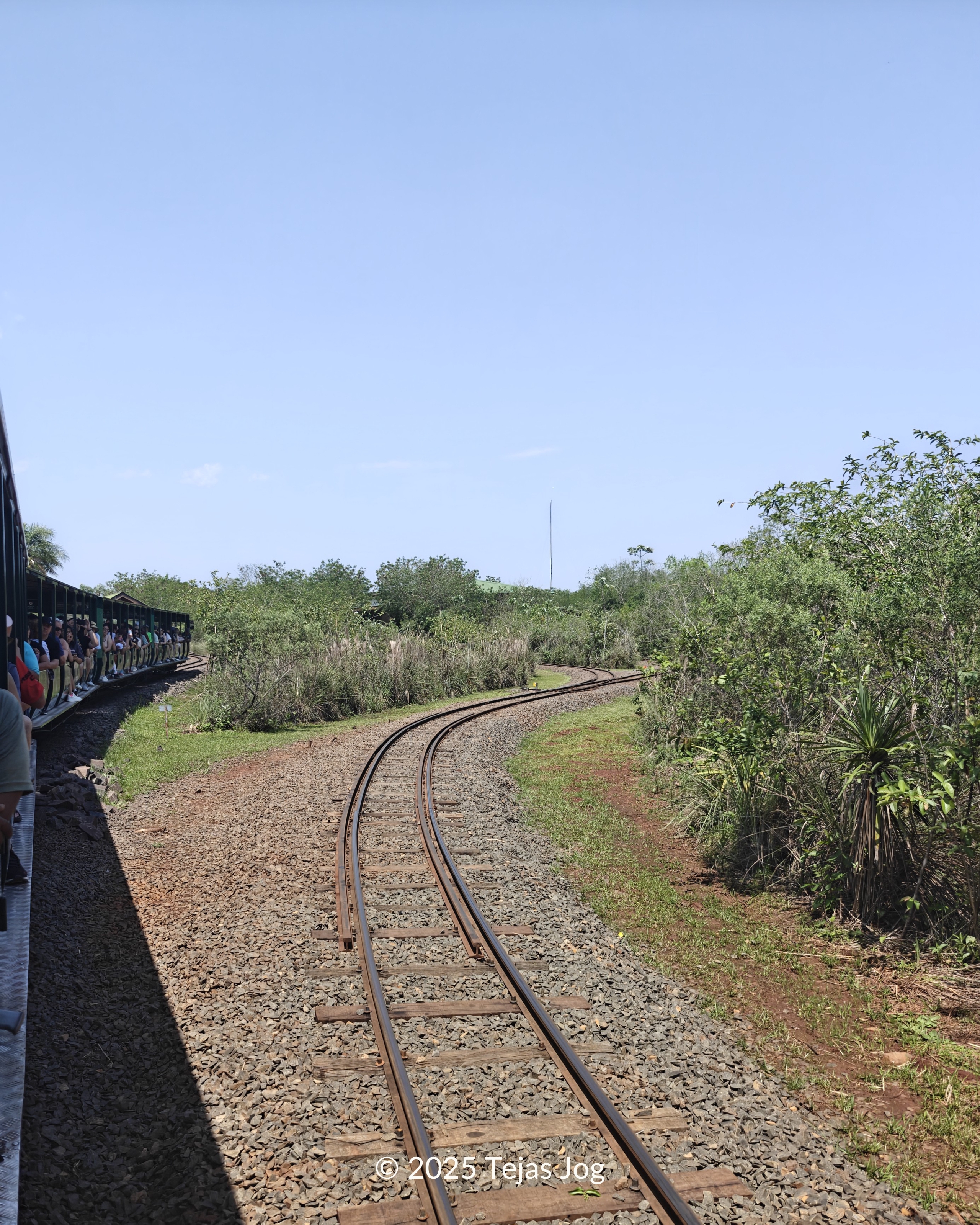 Jungle Train / Tren de la Selva Jungle Train / Tren de la Selva