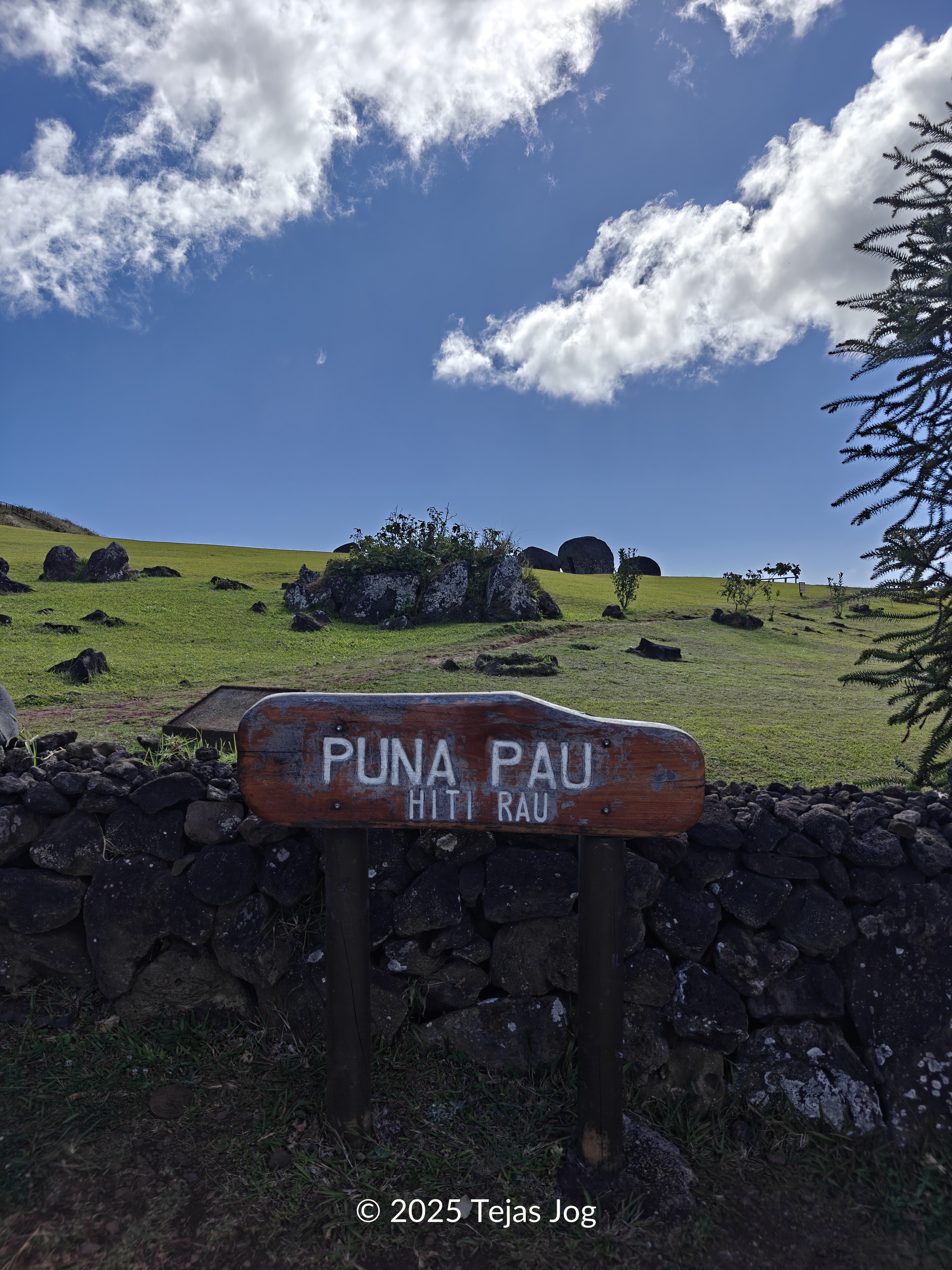 Puna Pau