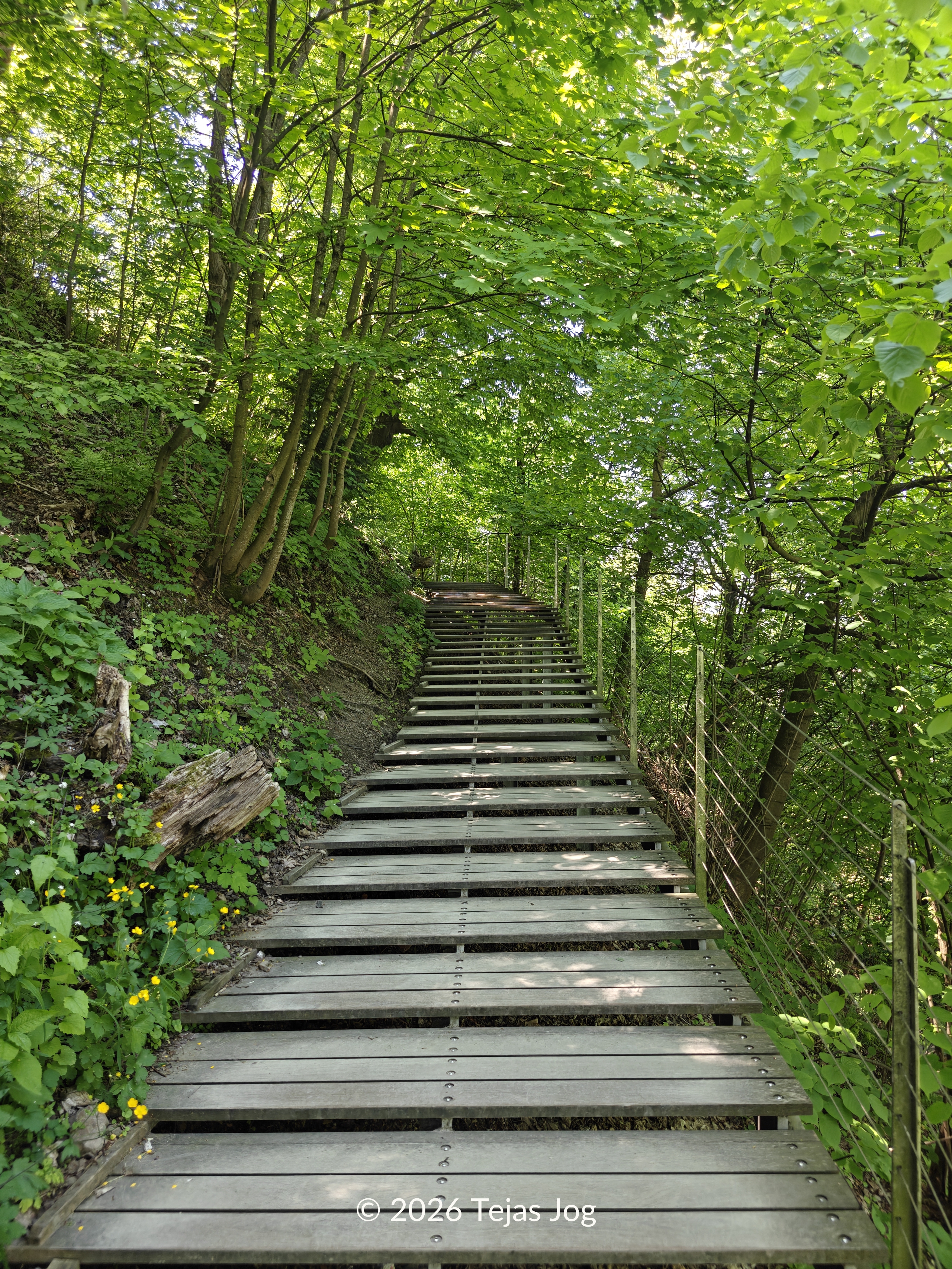 Walking up to Ljubljana Castle