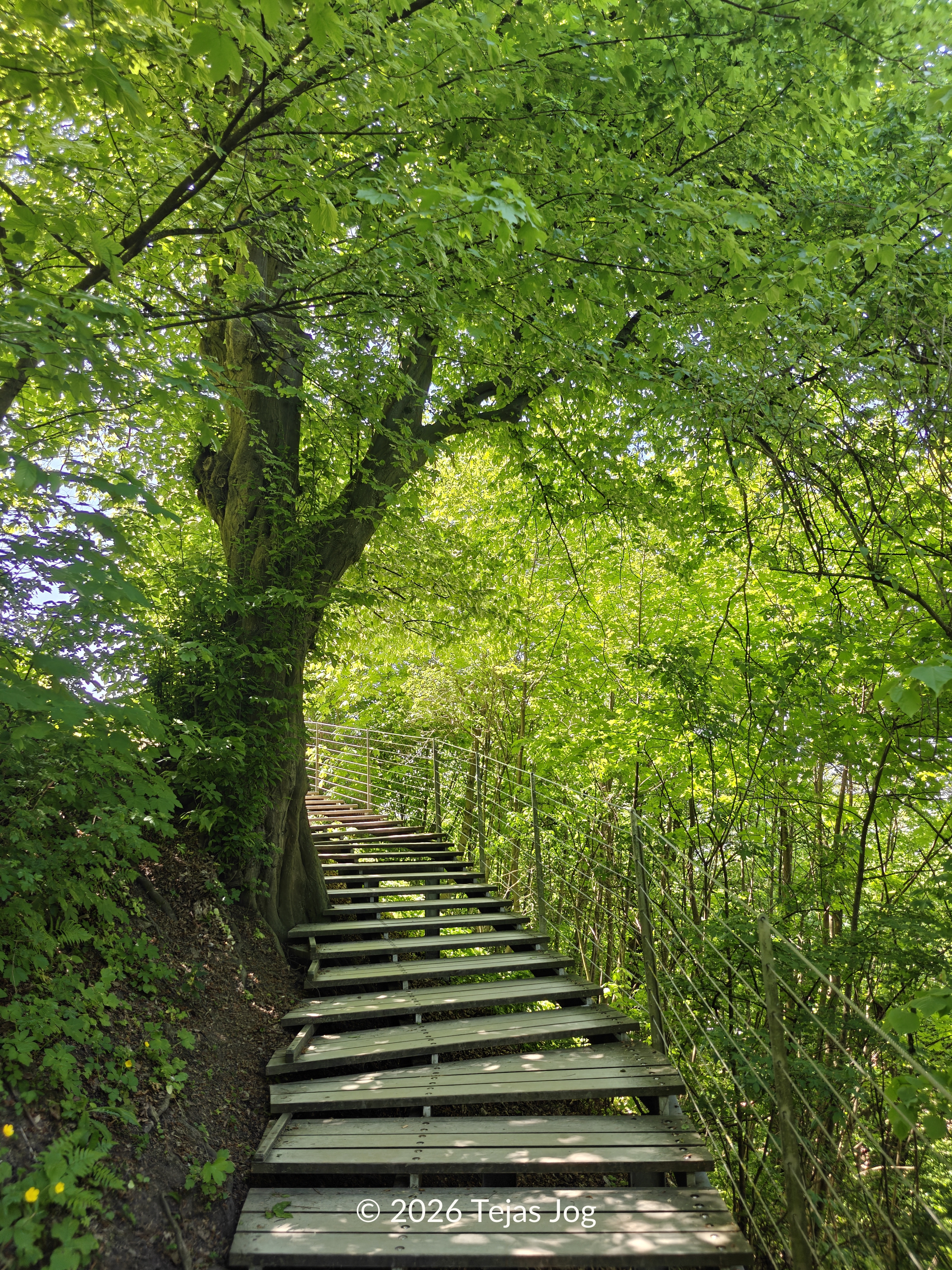 Walking up to Ljubljana Castle