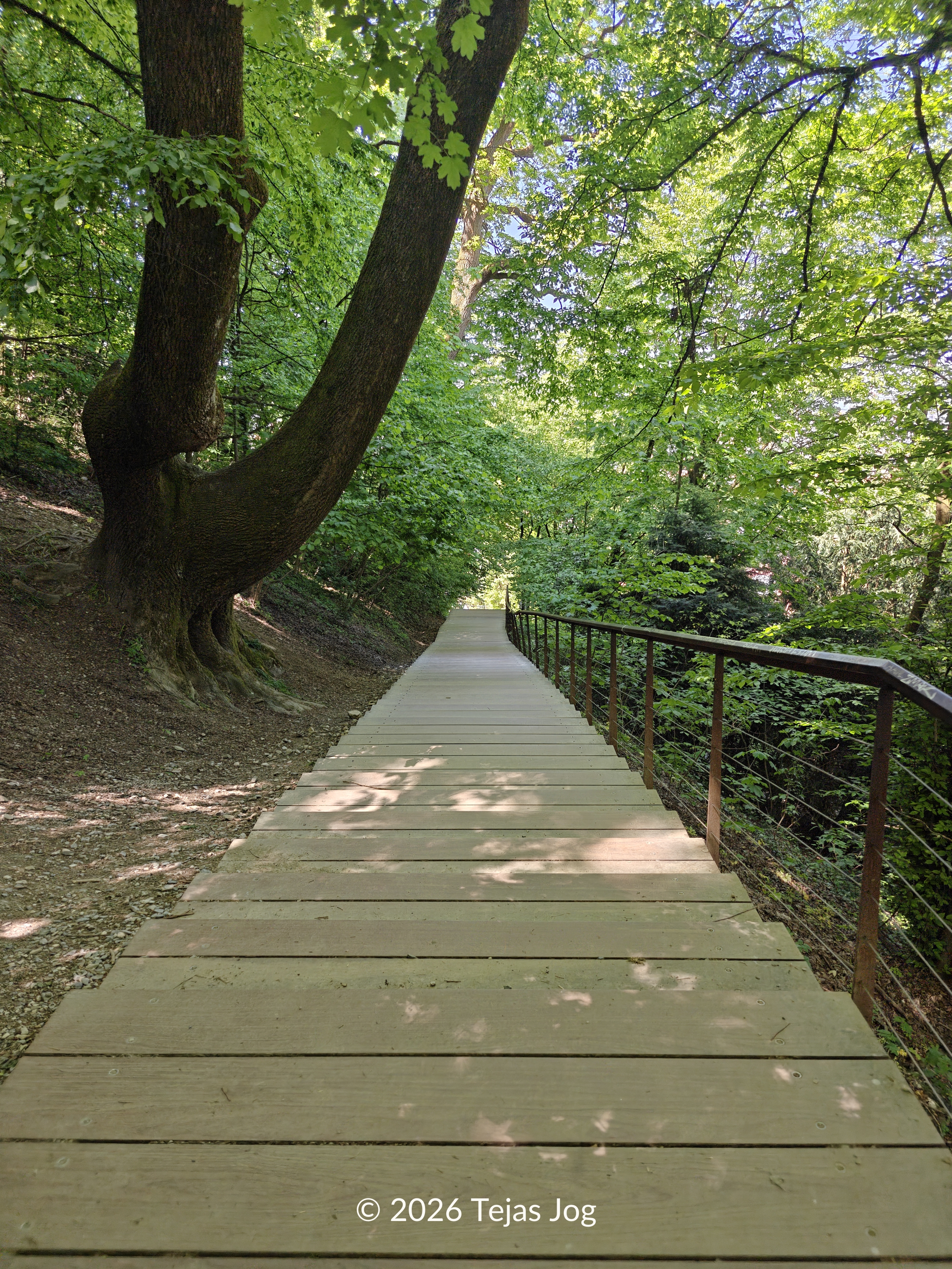 Walking down from Ljubljana Castle