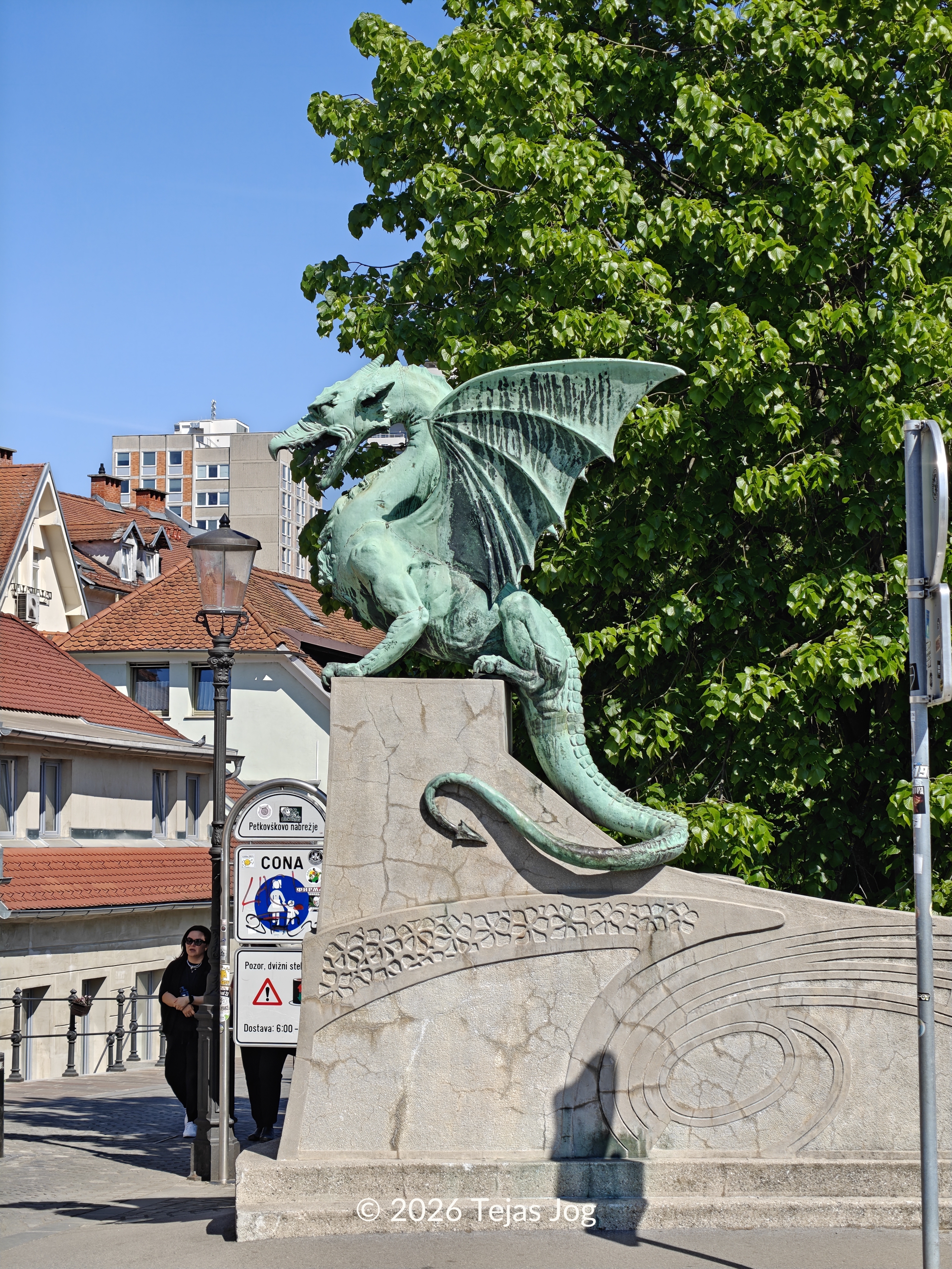Dragon Bridge / Zmajski most
