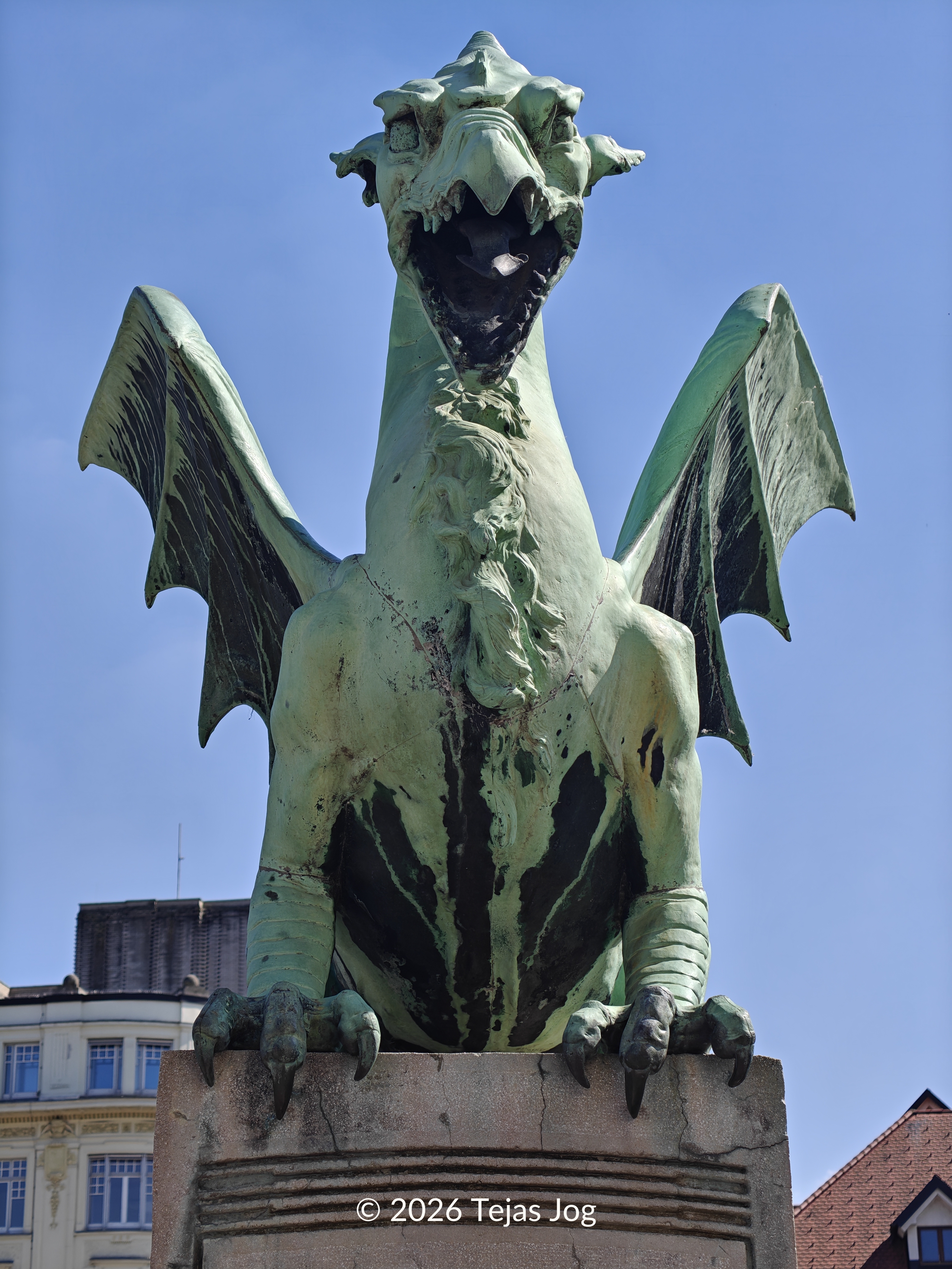 Dragon Bridge / Zmajski most