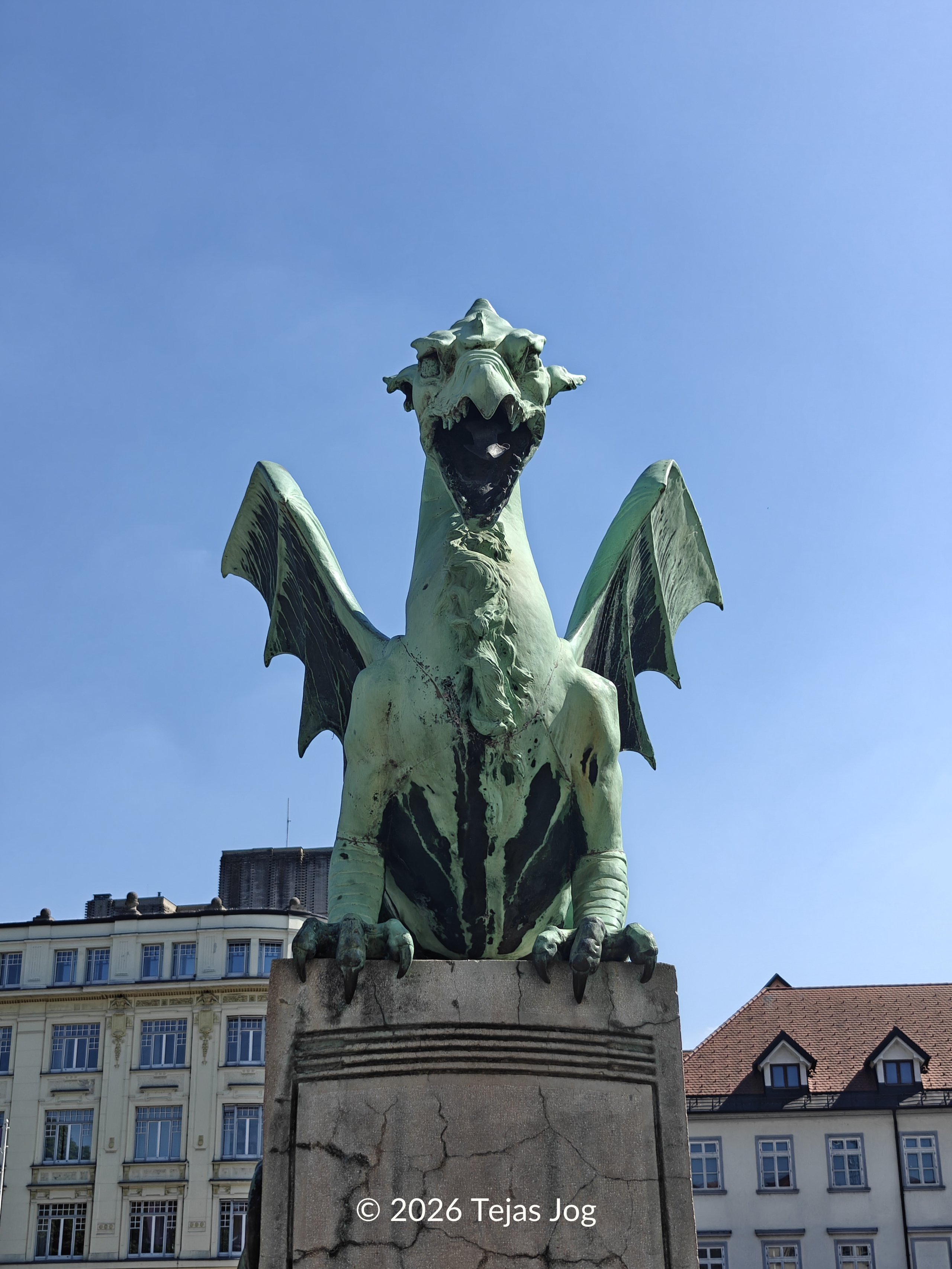 Dragon Bridge / Zmajski most