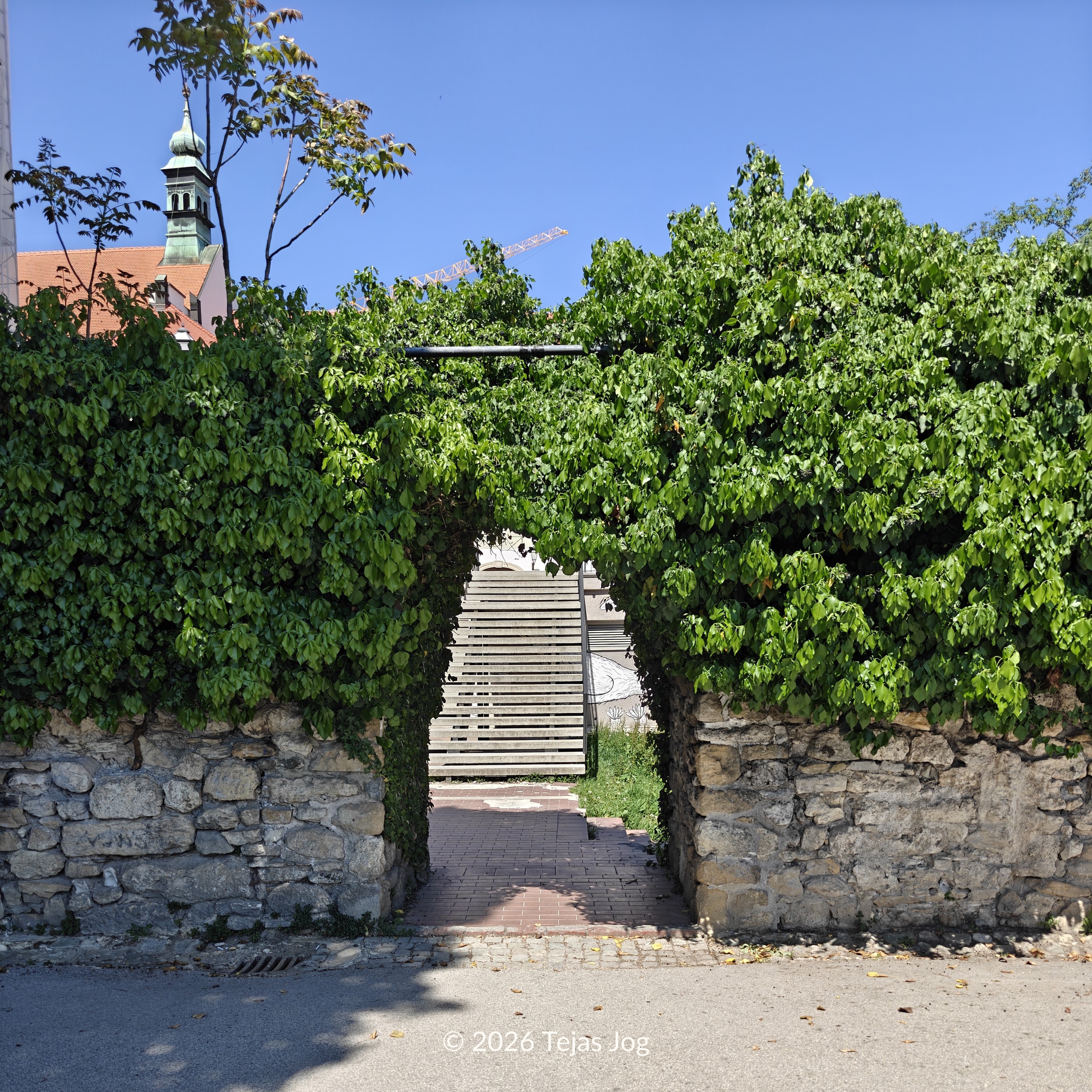 Ivan Zakmardi Steps / Stube Ivana Zakmardija