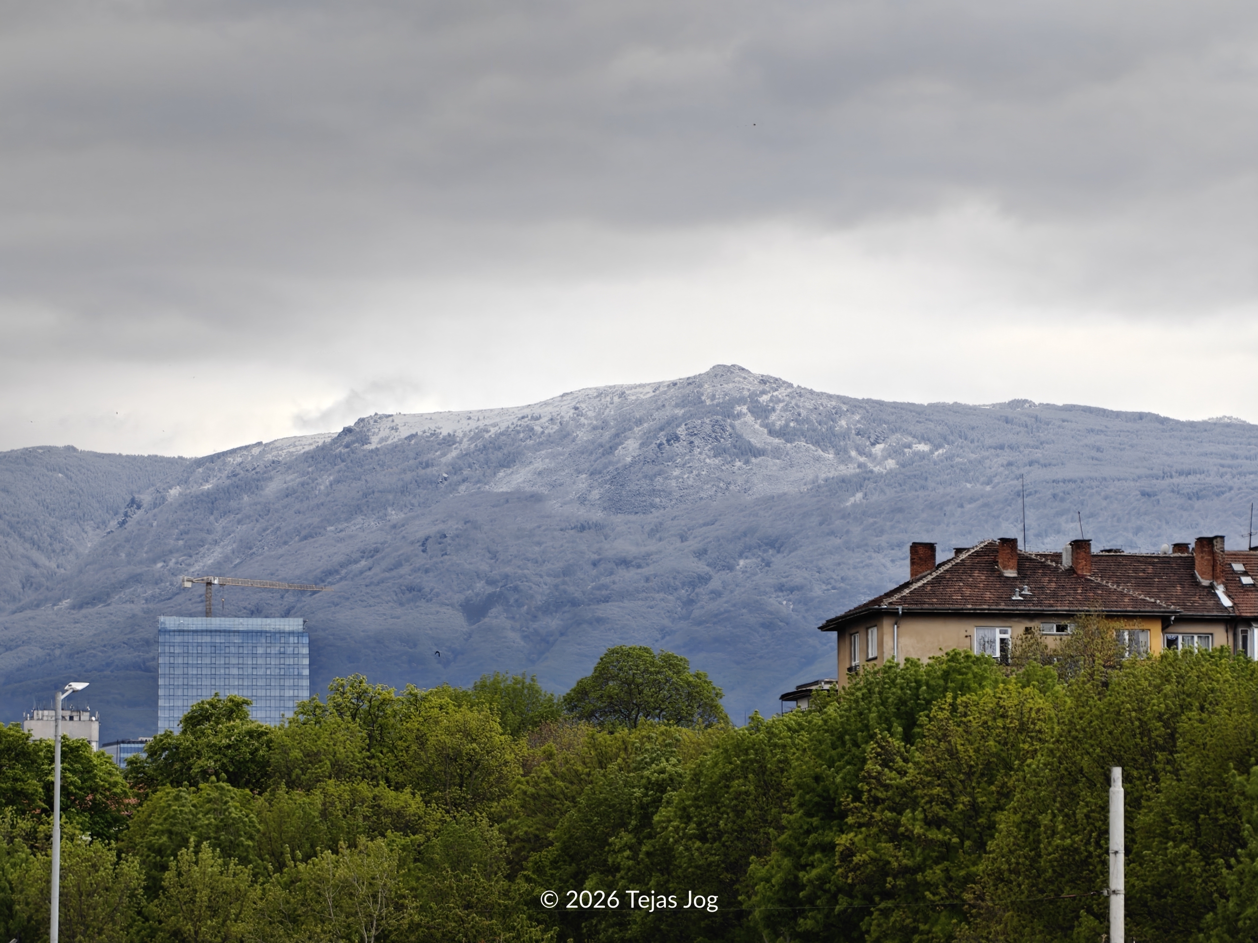 Sofia