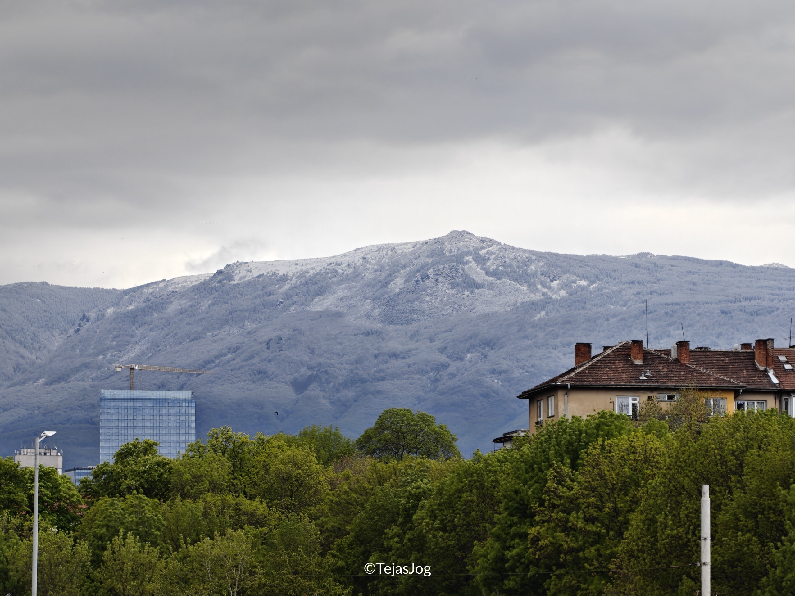 Sofia