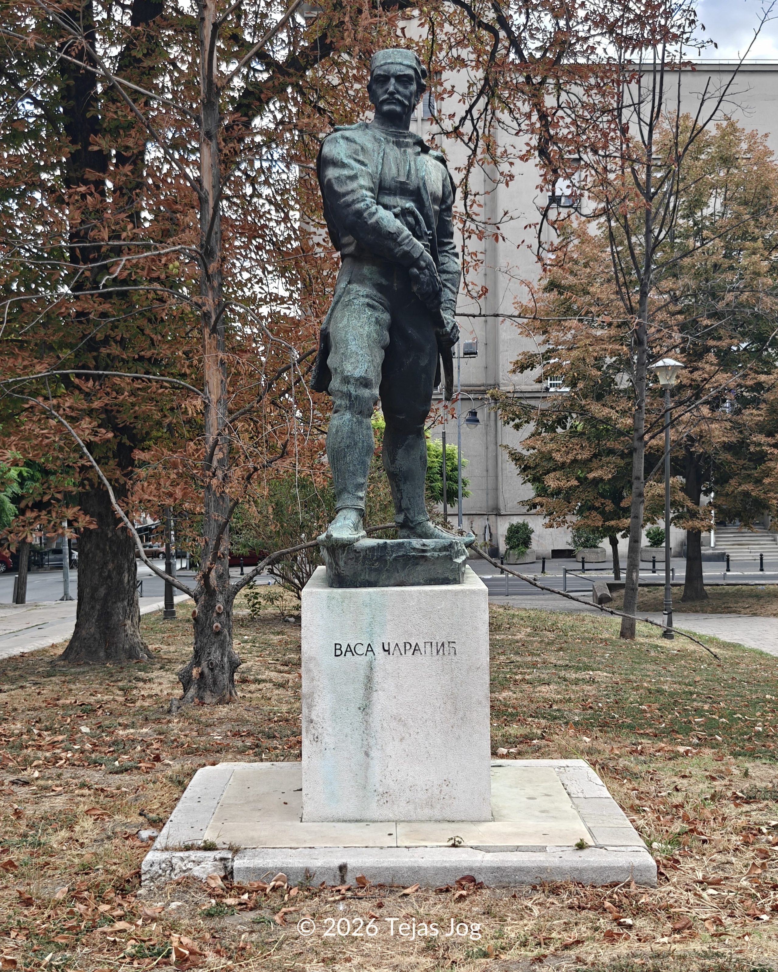 Monument to Vasa Čarapić / Споменик Васи Чарапићу
