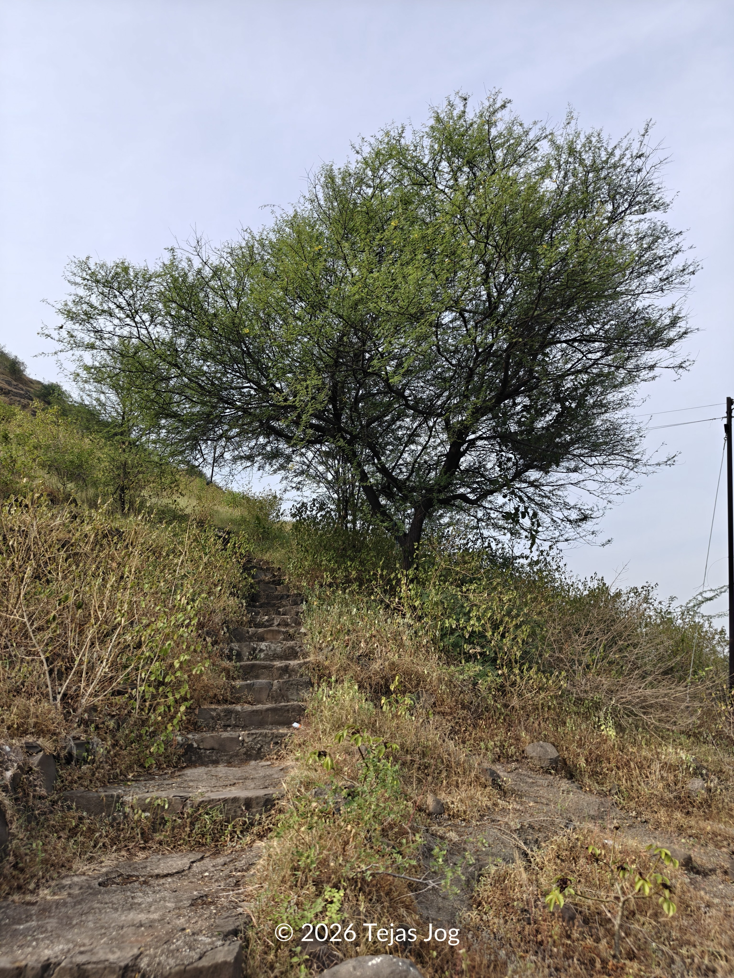 Manikpunj Fort