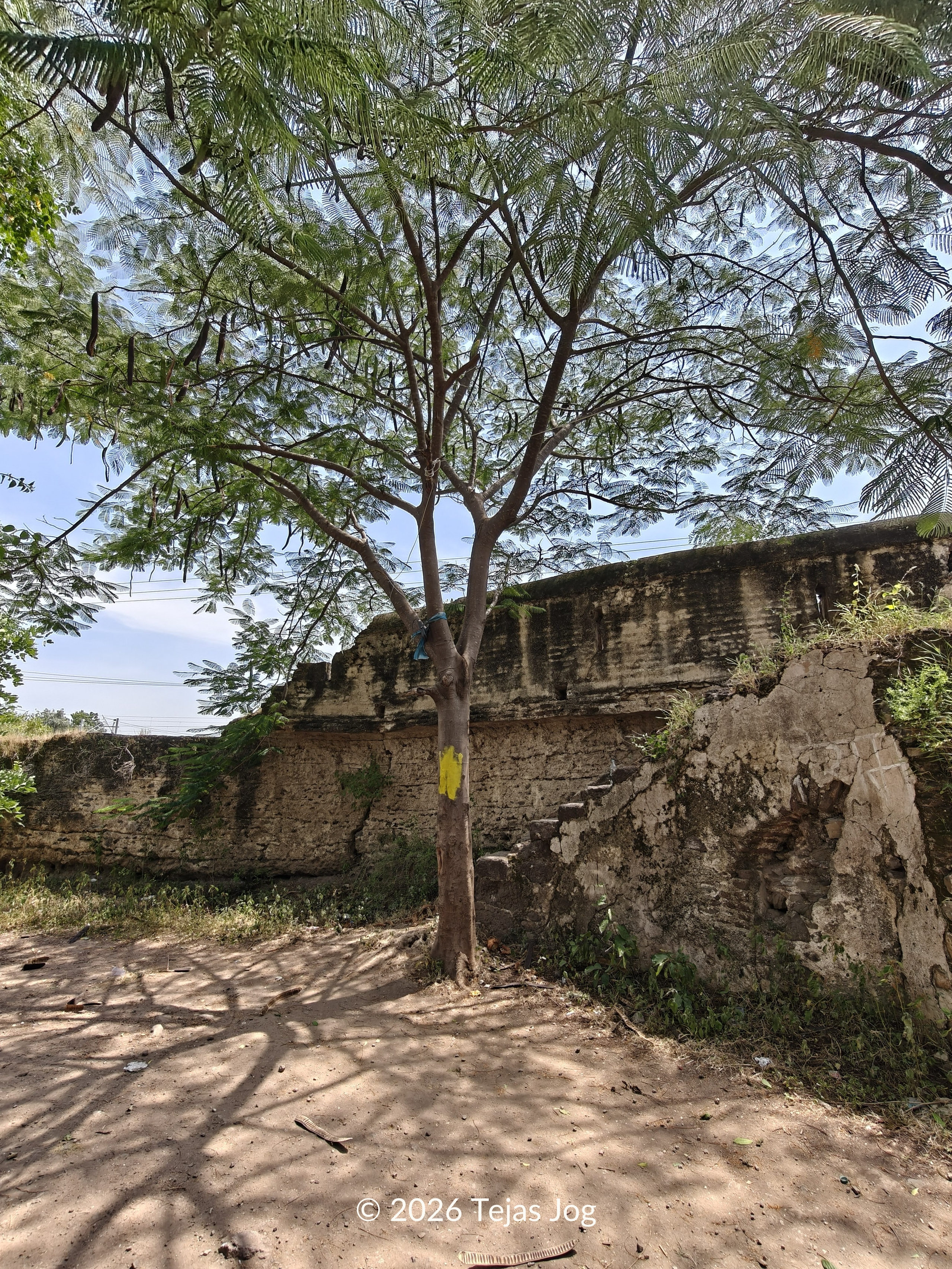 Khojaji Fort