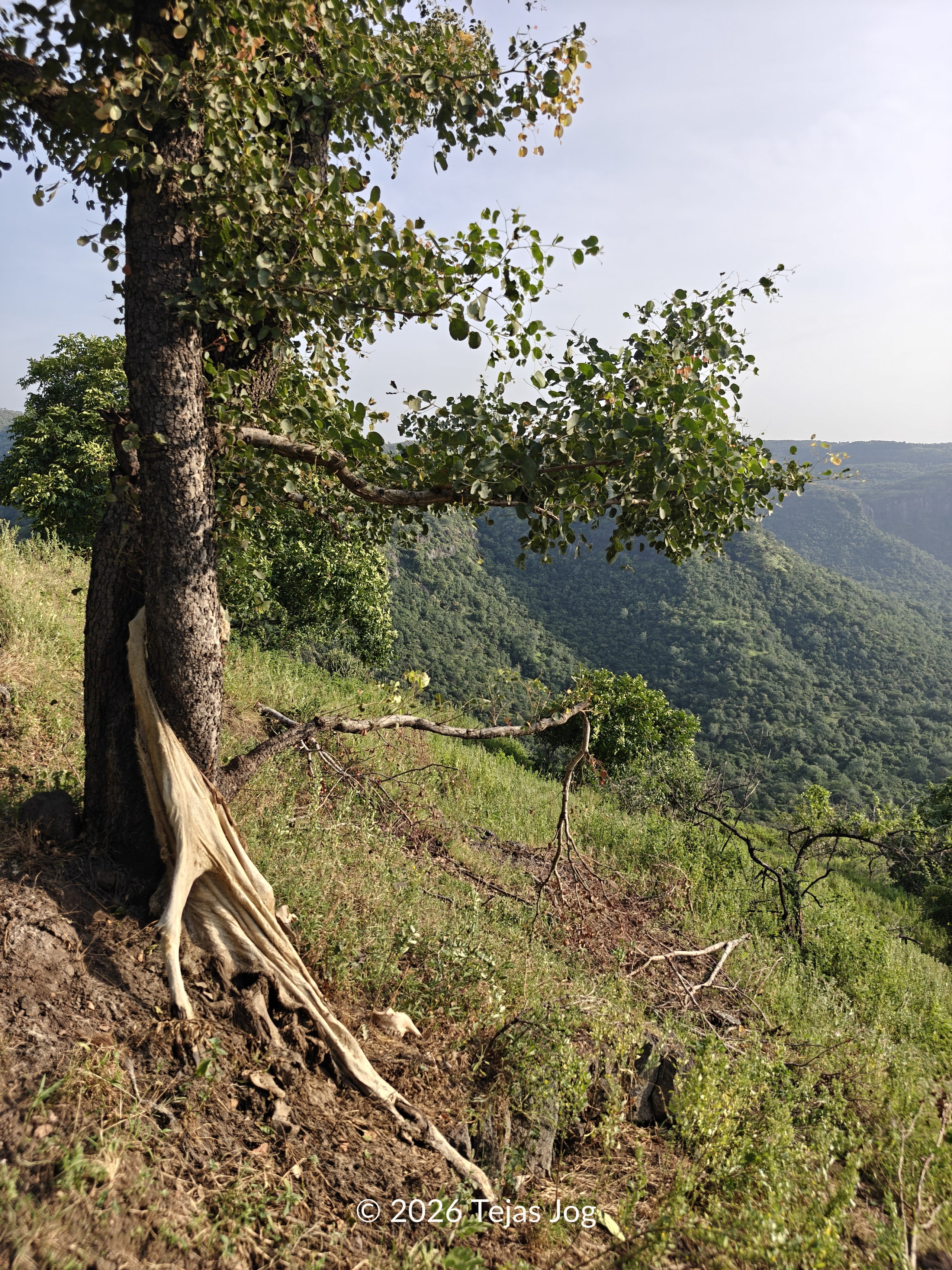 Rajdeher Fort