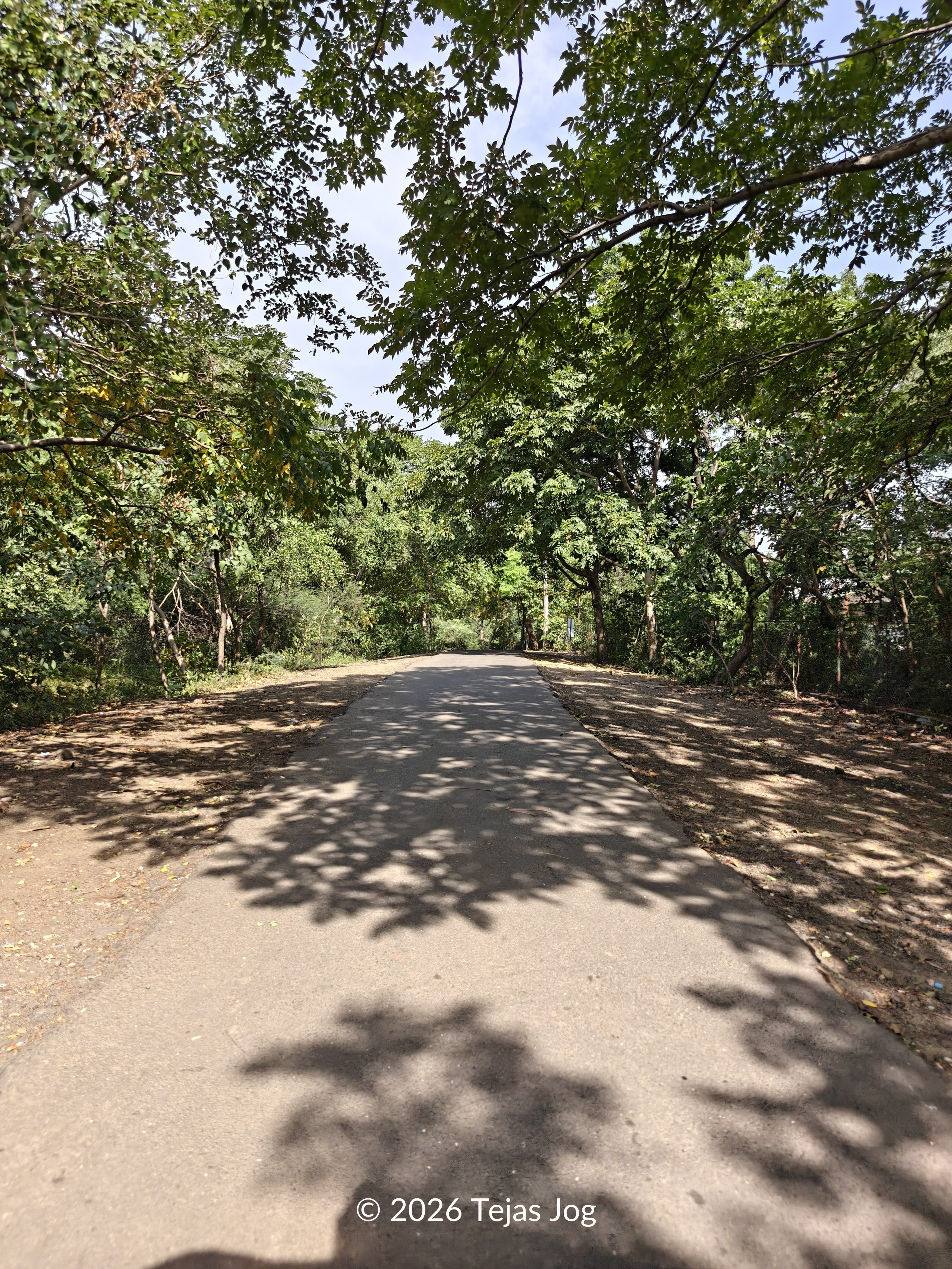 Gautala Autramghat Wildlife Sanctuary