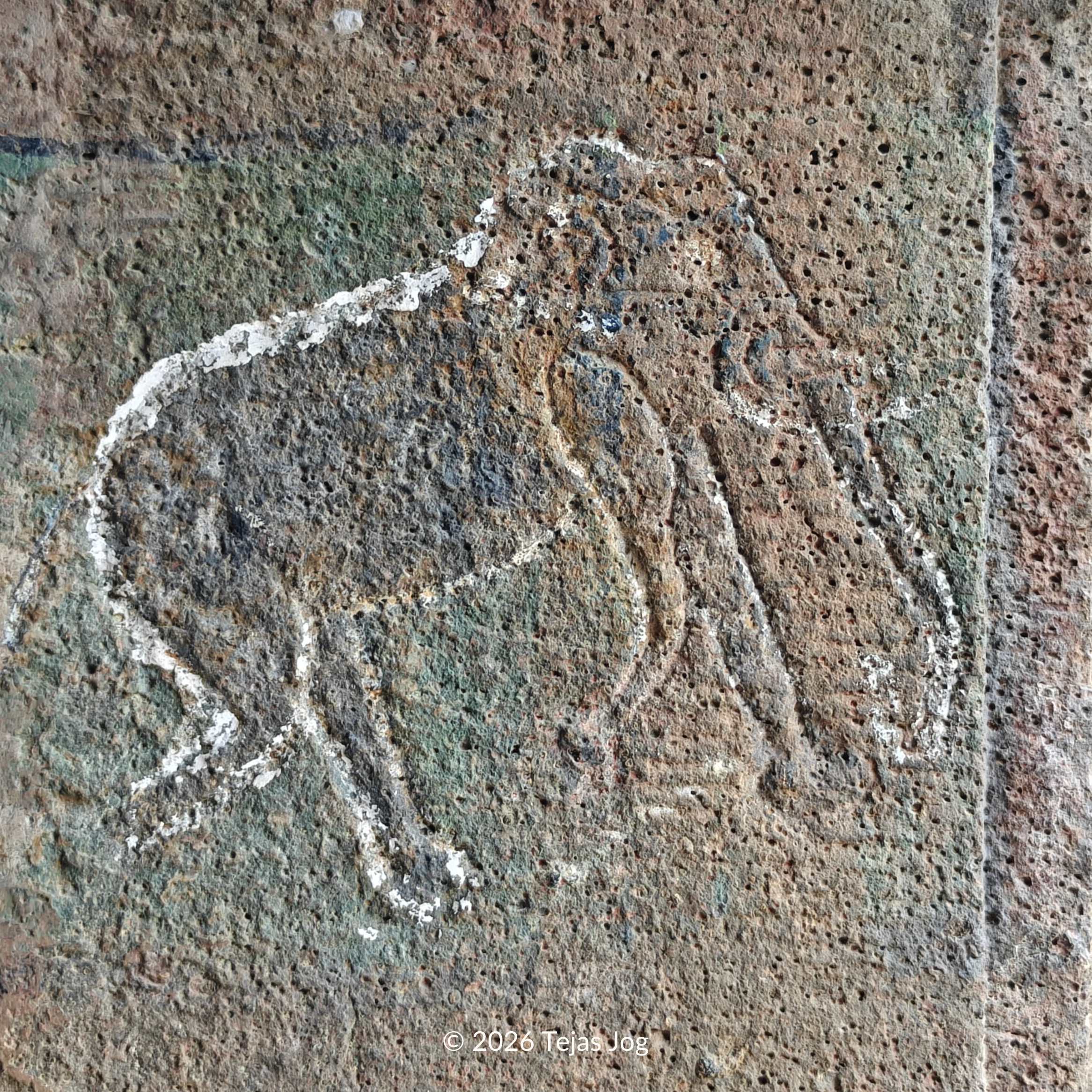 Nagarjun Jain Caves