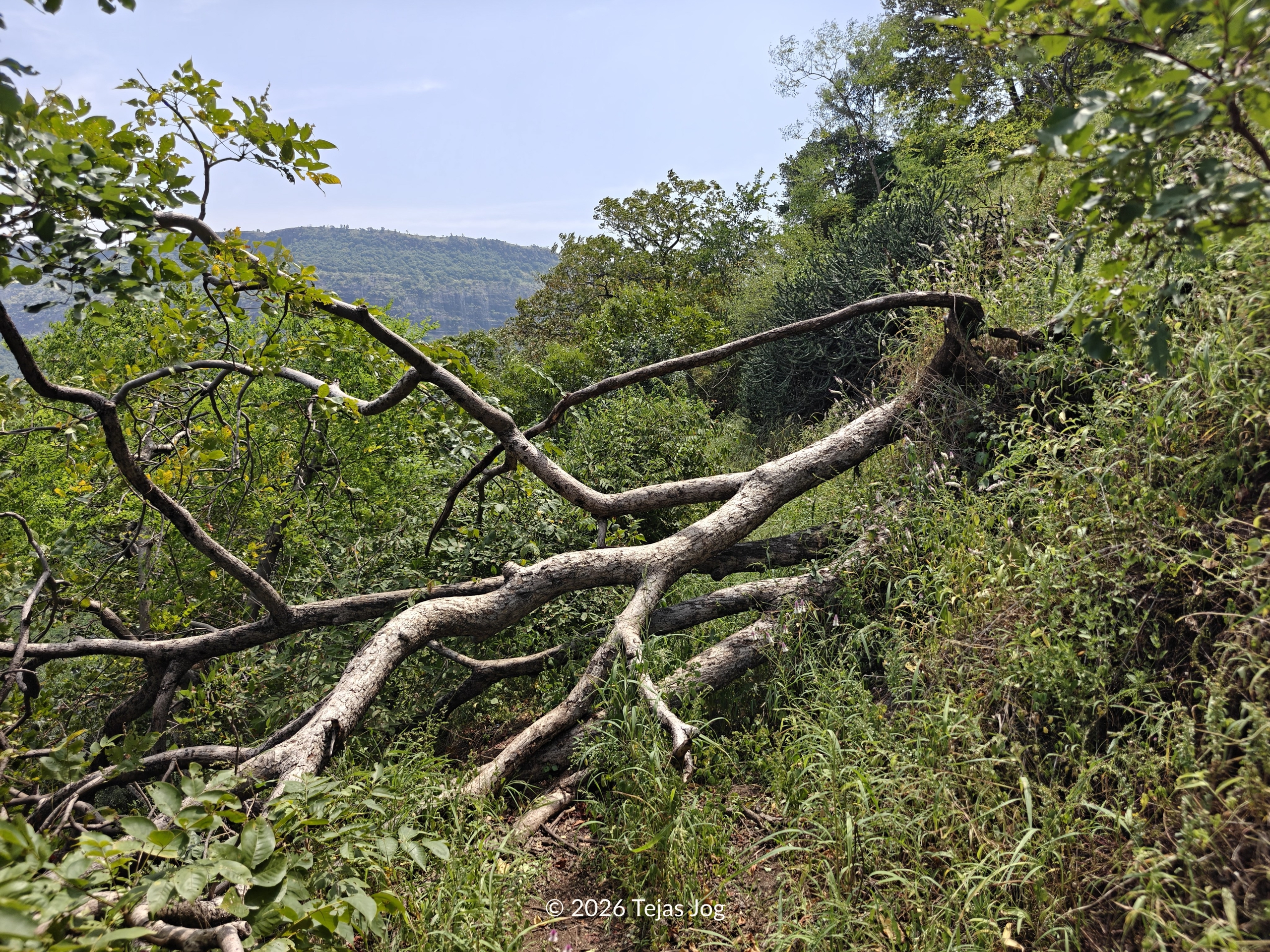 Kanhergad