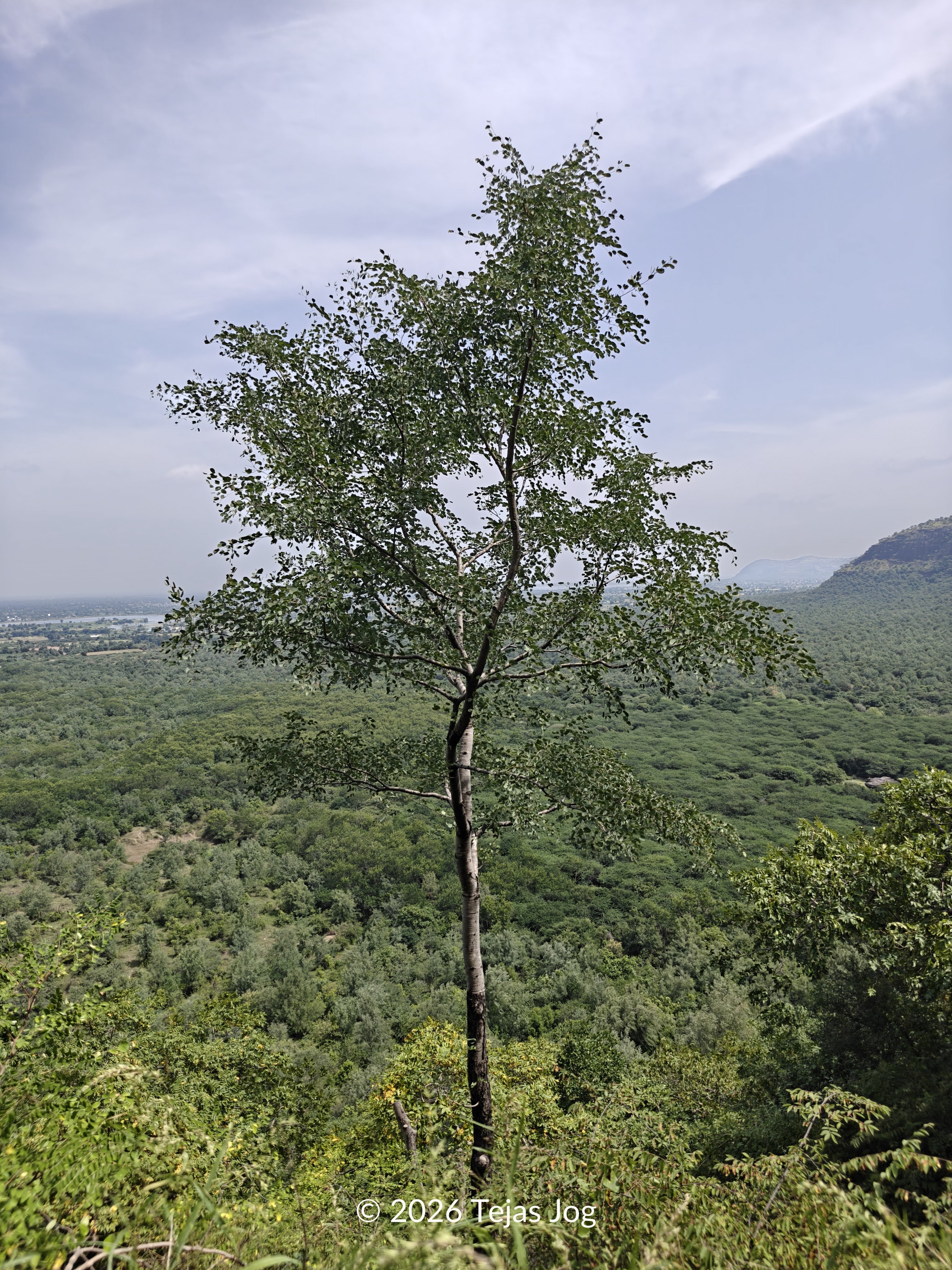 Kanhergad