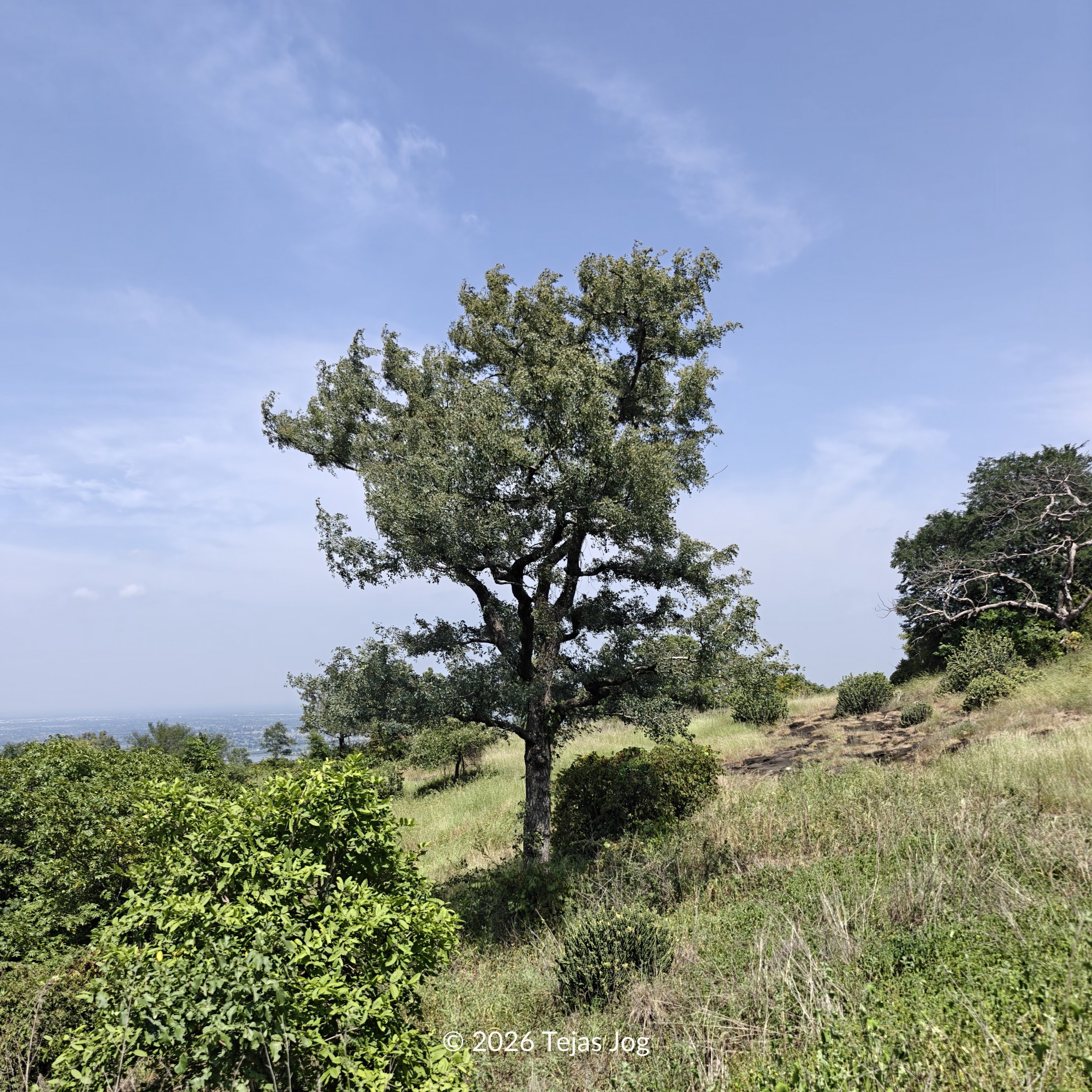 Kanhergad