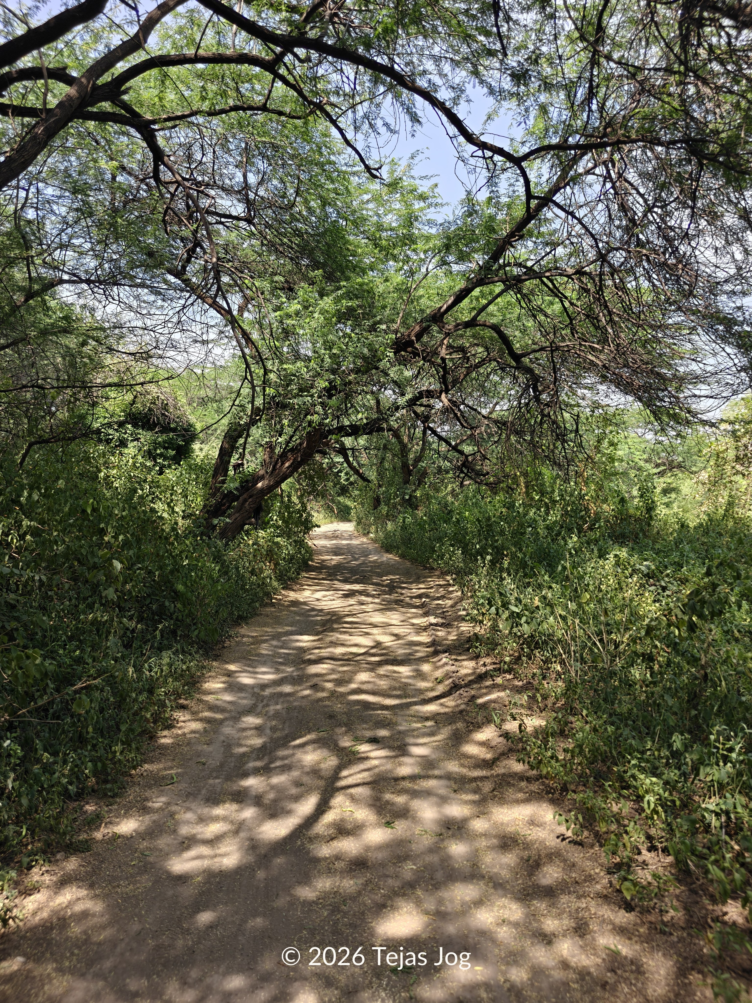 Gautala Autramghat Wildlife Sanctuary