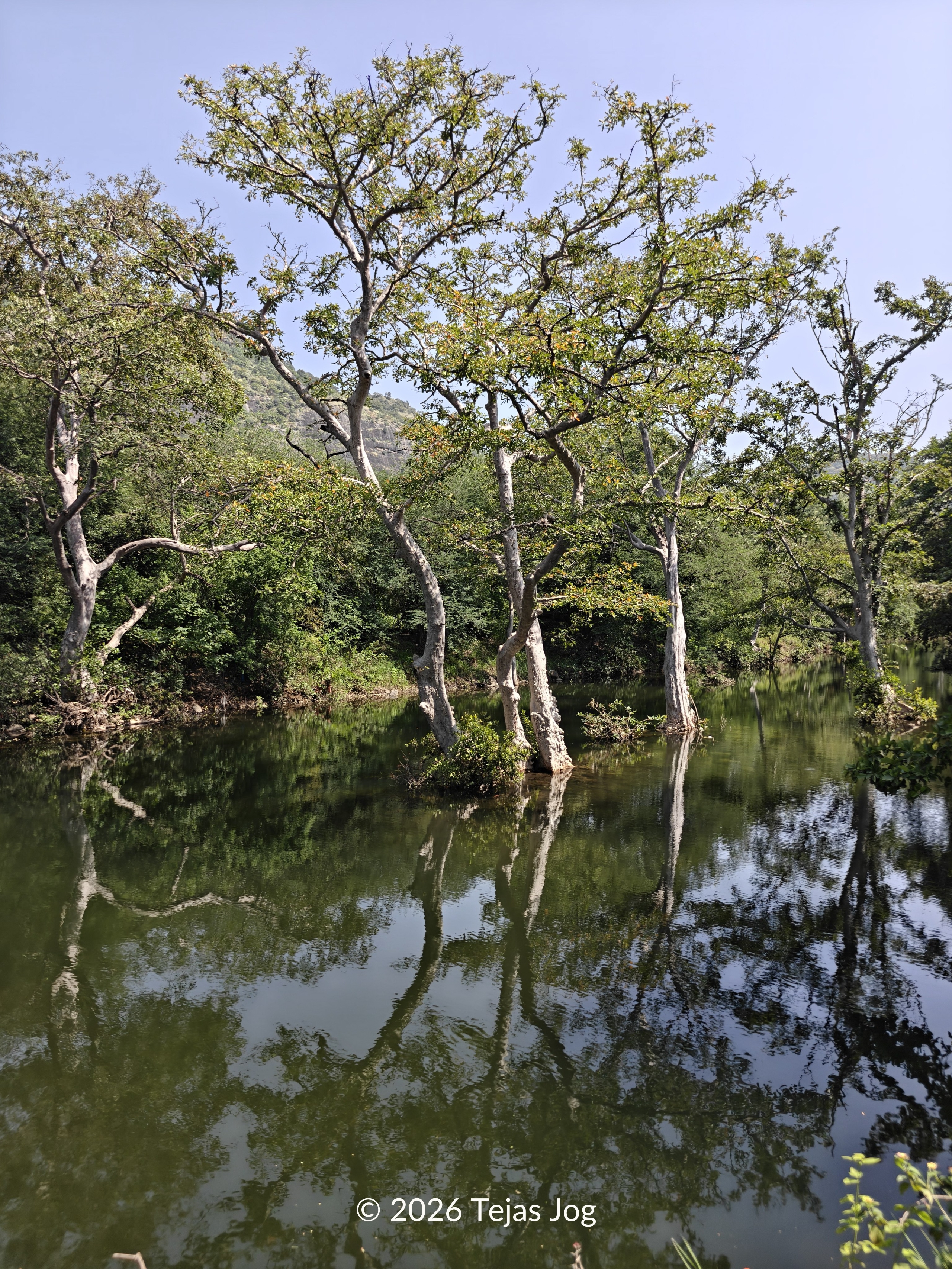 Gautala Autramghat Wildlife Sanctuary