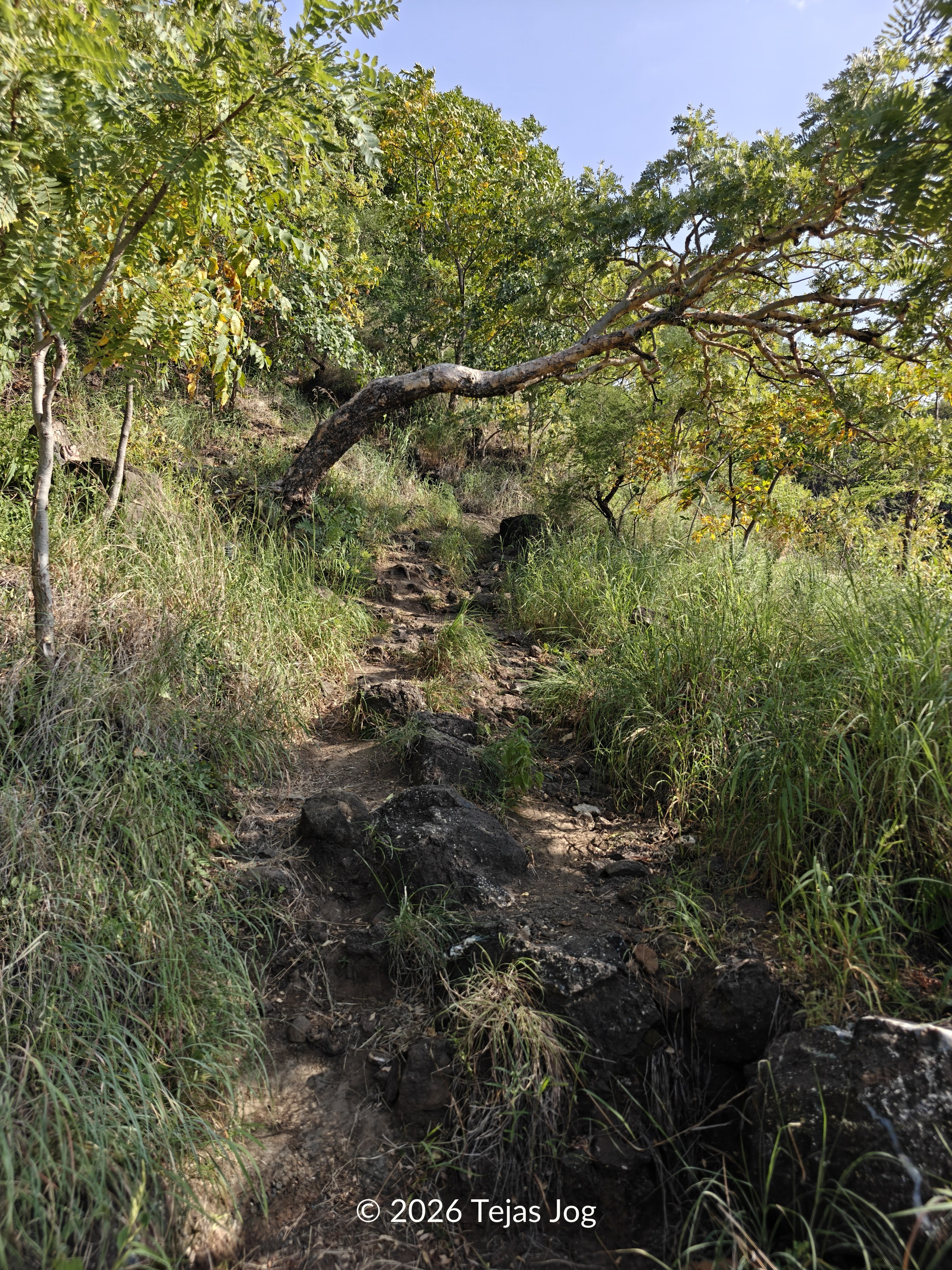 Trek to Pitalkhora Buddhist Caves
