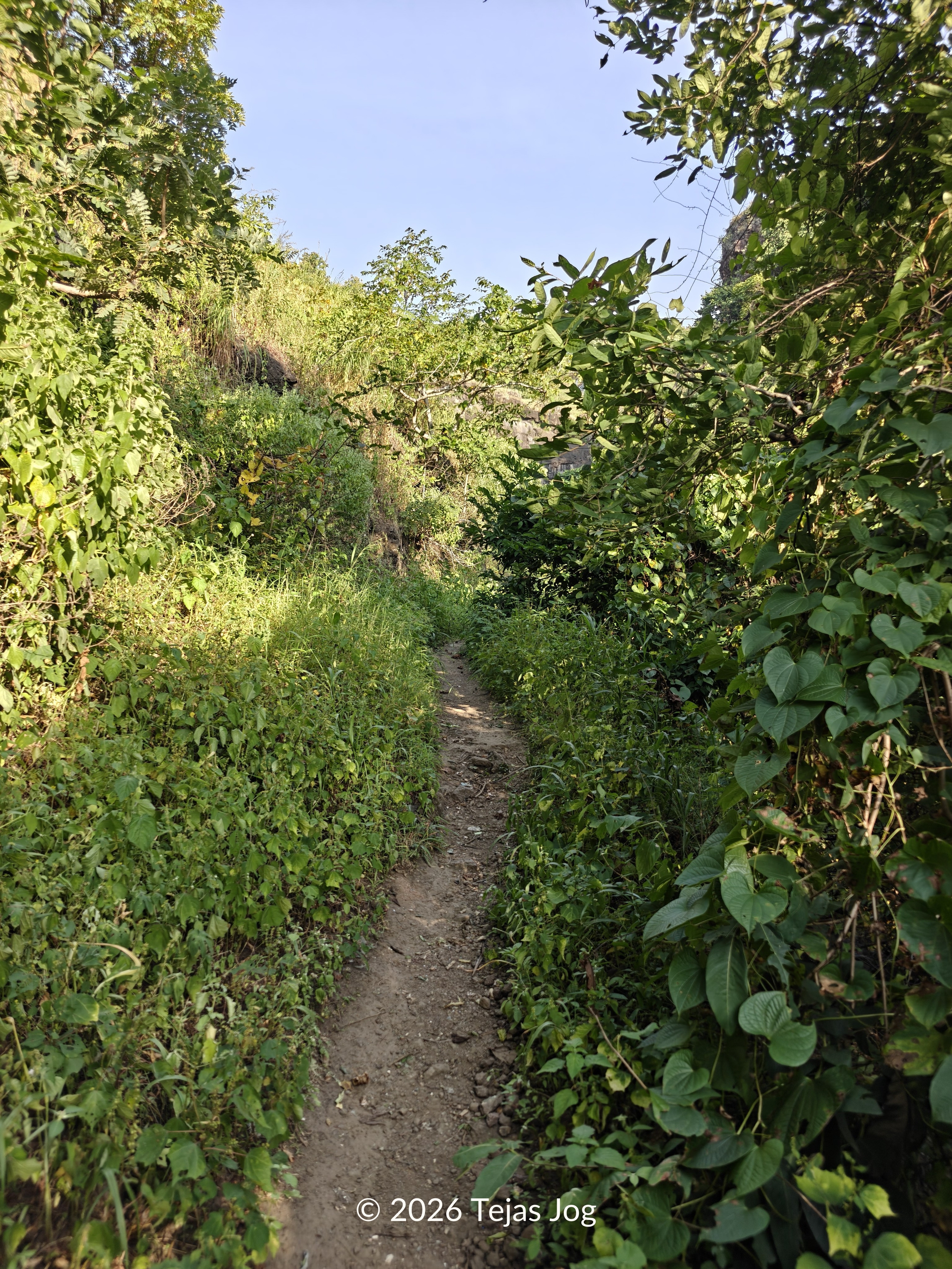 Trek to Pitalkhora Buddhist Caves