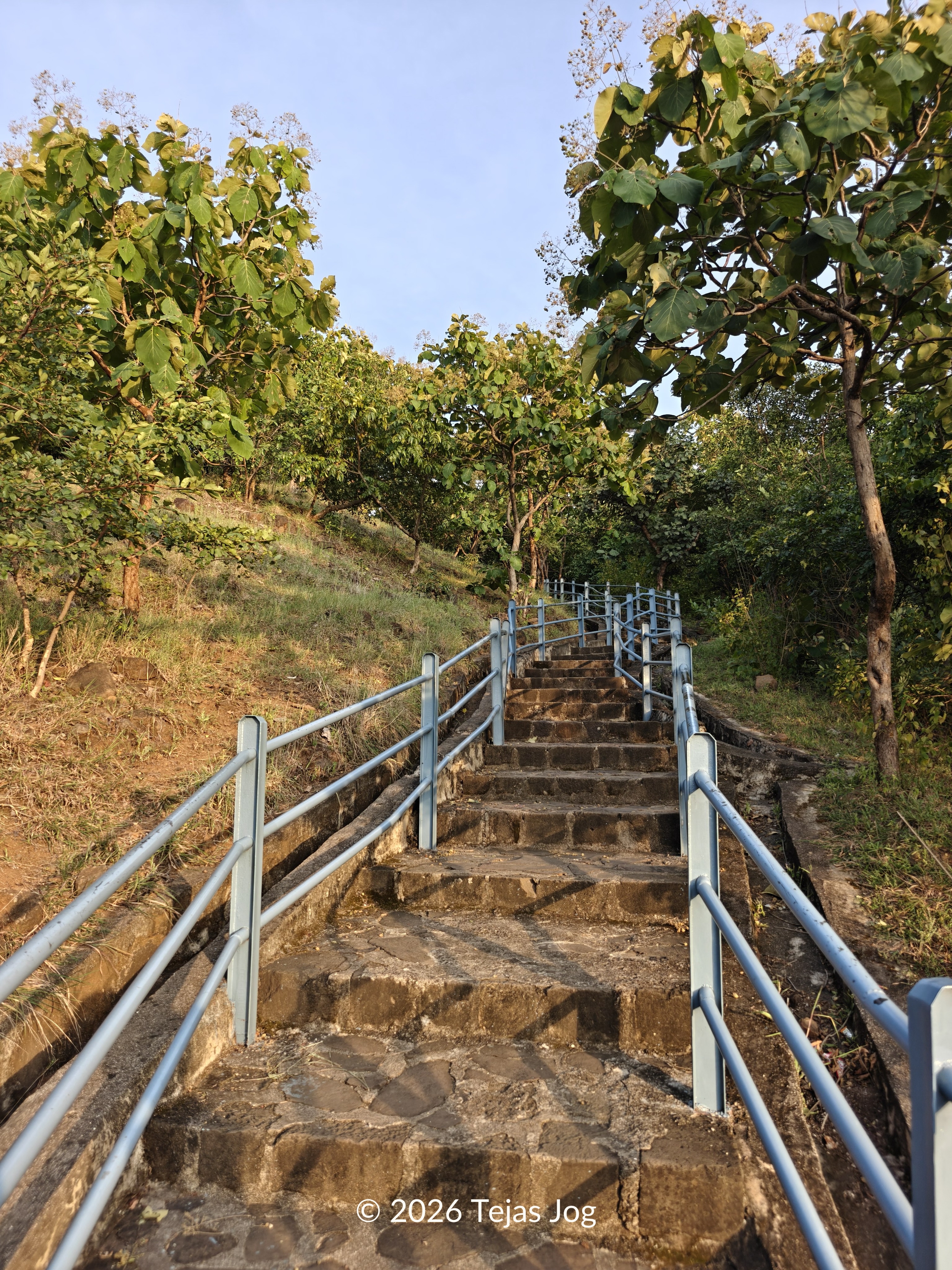 Pitalkhora Buddhist Caves